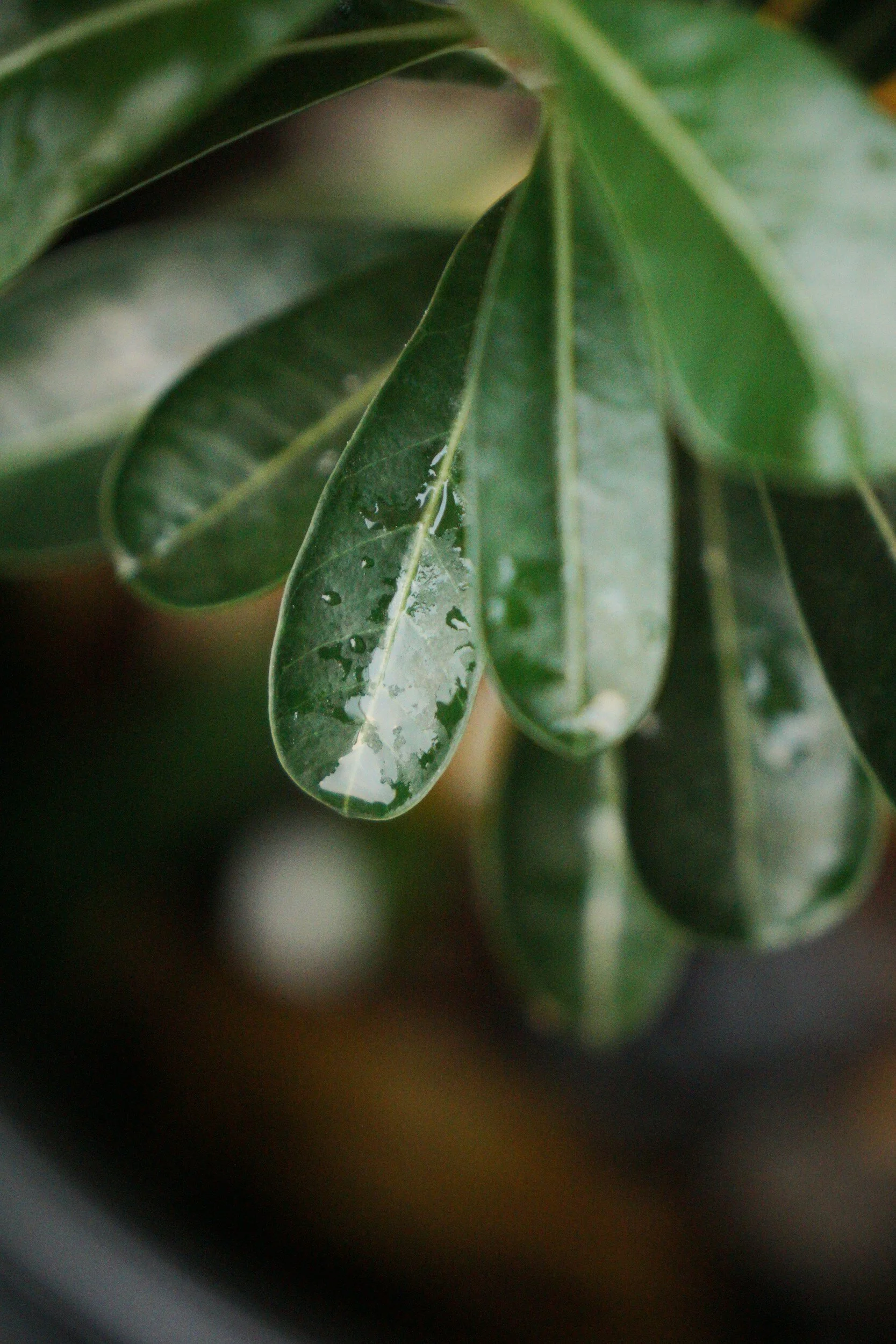 embracing stillness in a chaotic world