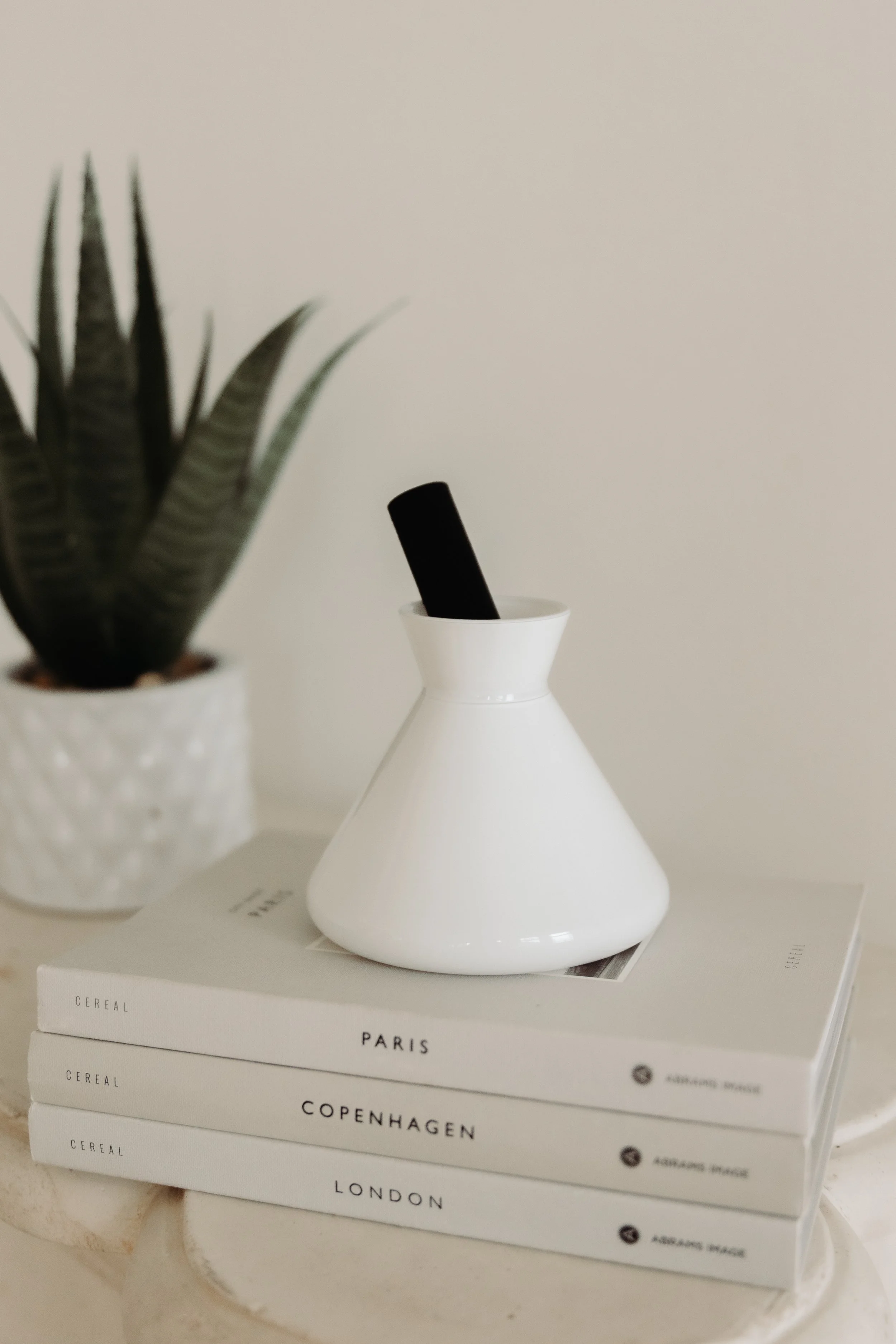 A white glass diffuser vase with a black charcoal reed inside sits on top of a stack of closed books with city names on the spines including Paris, Copenhagen, and London, with a potted plant partially visible on the left.