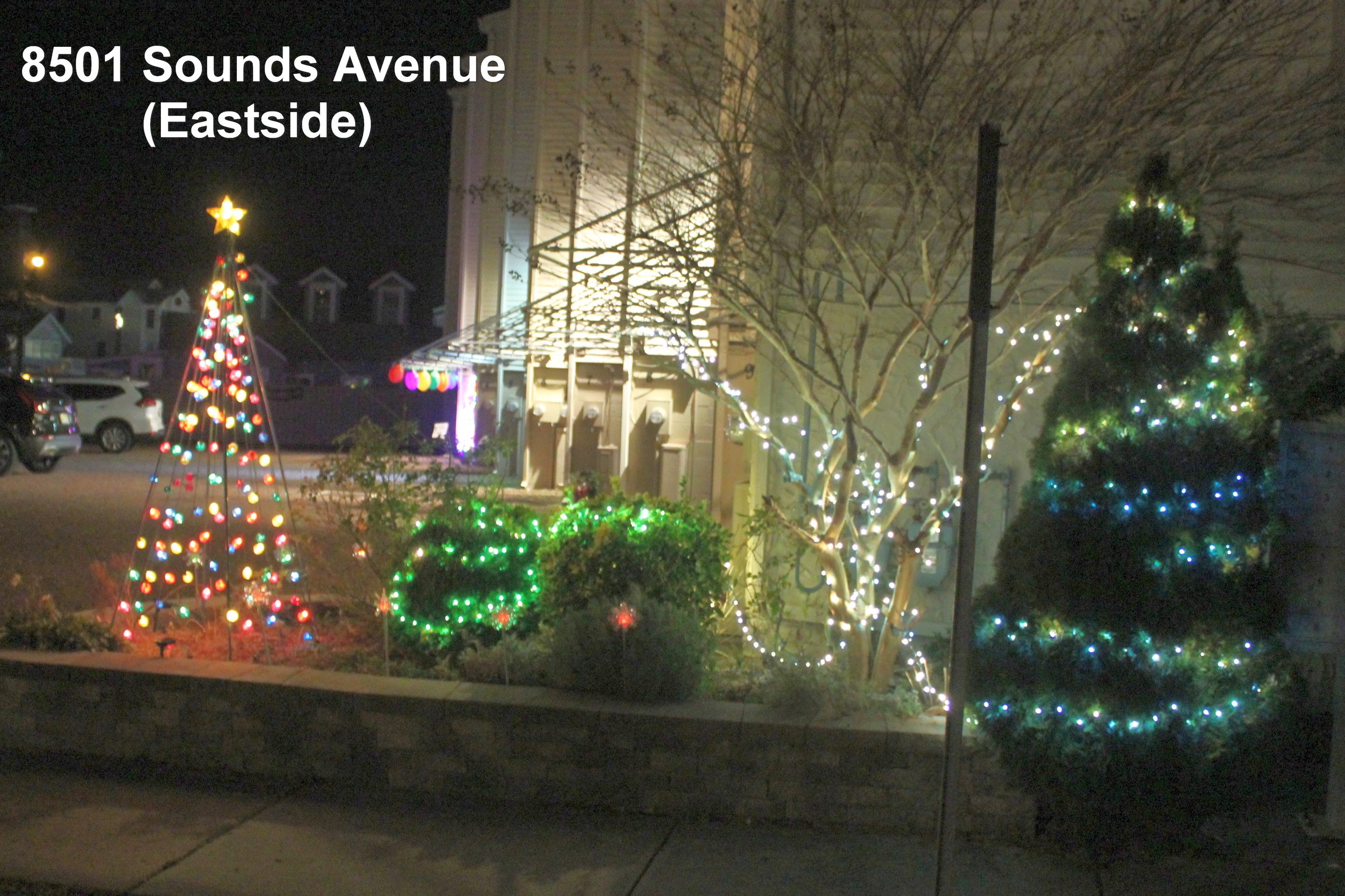 20023 Q b Lights 8501 Sounds Avenue Williamson B.JPG