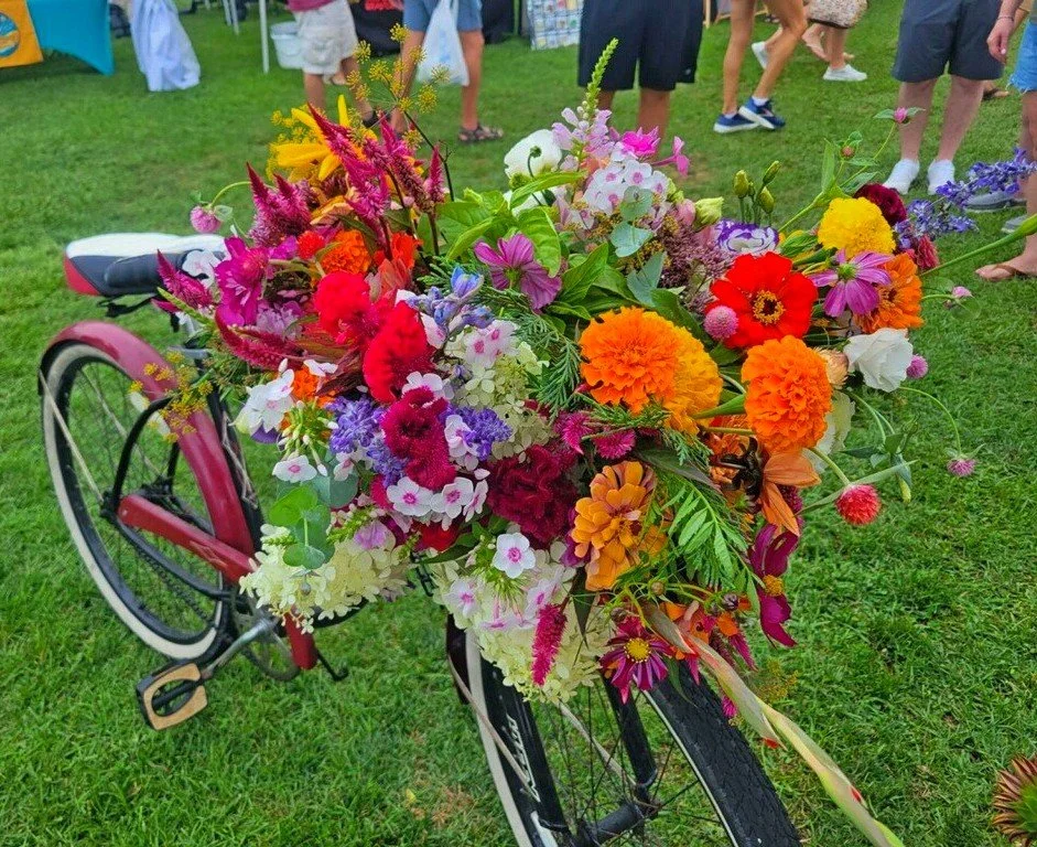 bike2.jpg