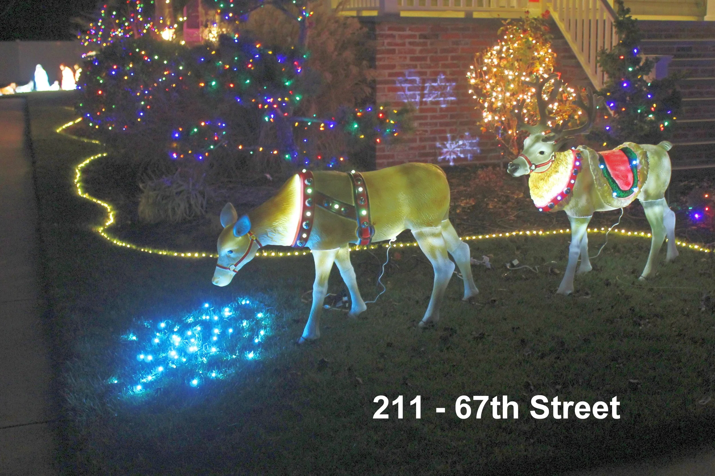 2023 O a Lights 211 67th St Smith B.JPG