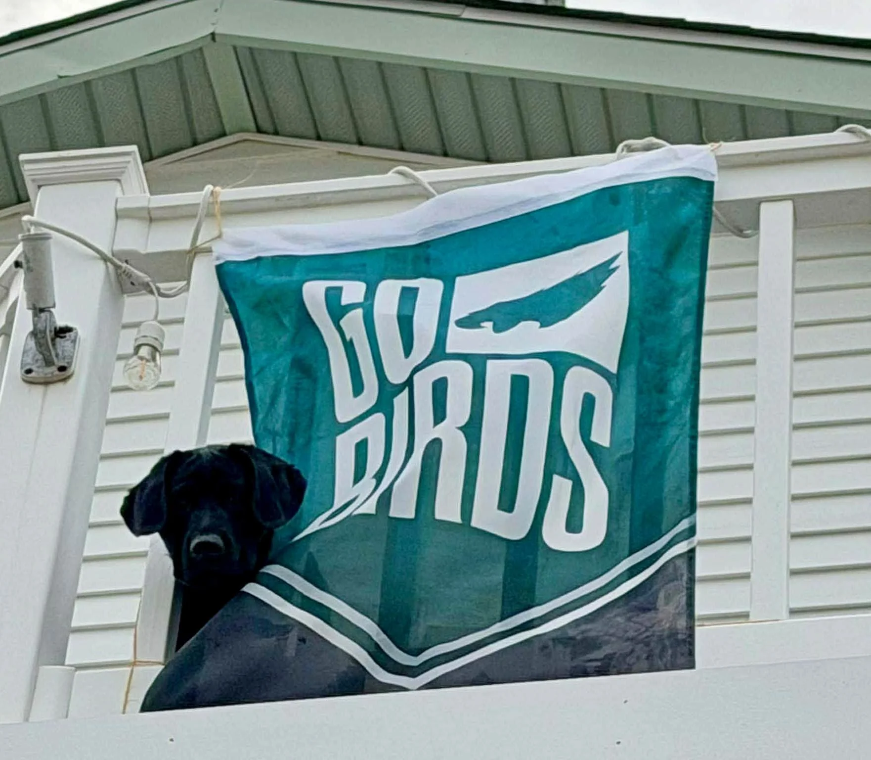 "GO Birds" Eagles Flags flying throughout Sea Isle