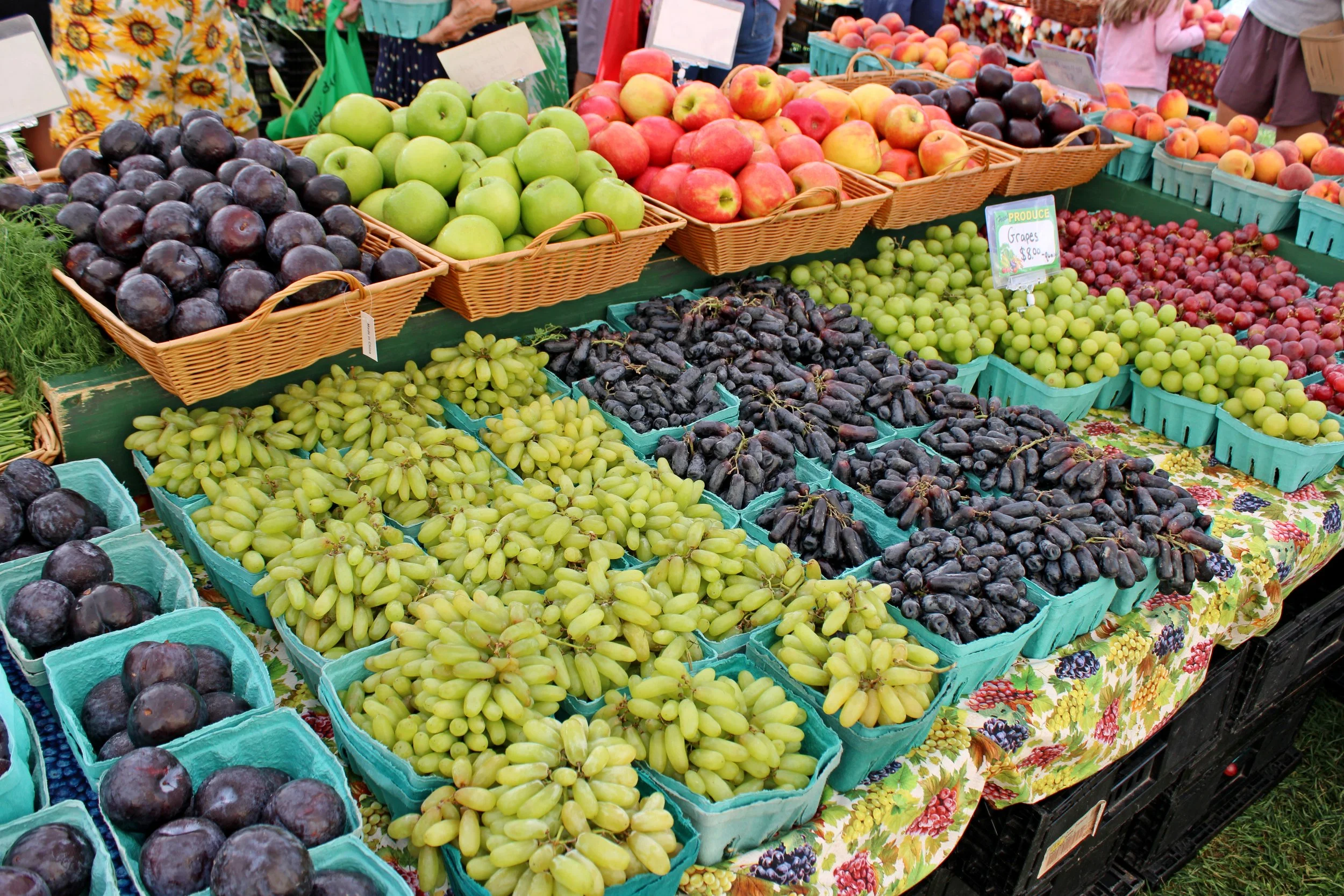 fruit.jpg