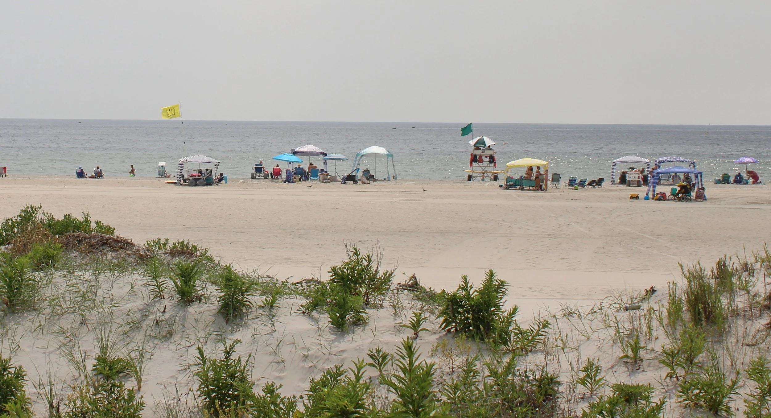 dune view.jpg