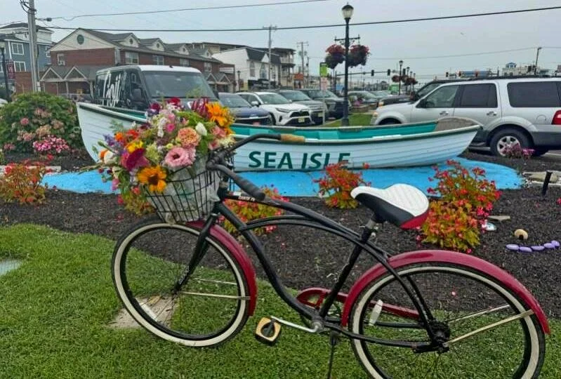 bike1.jpg