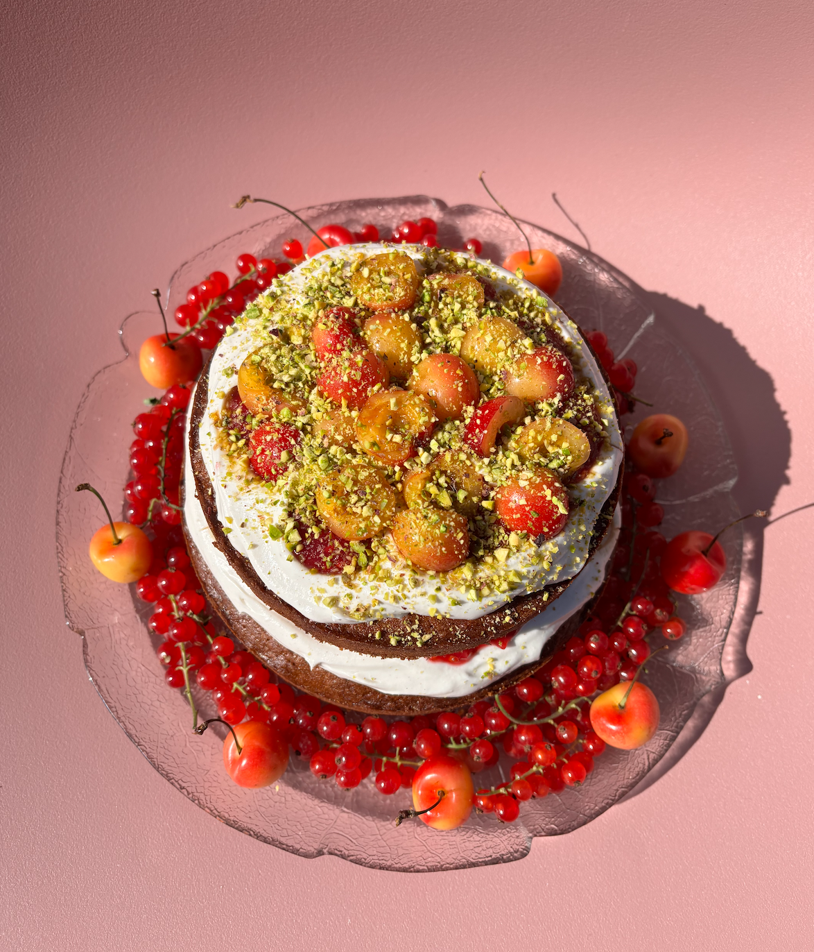 blood orange olive oil cake with coconut whip