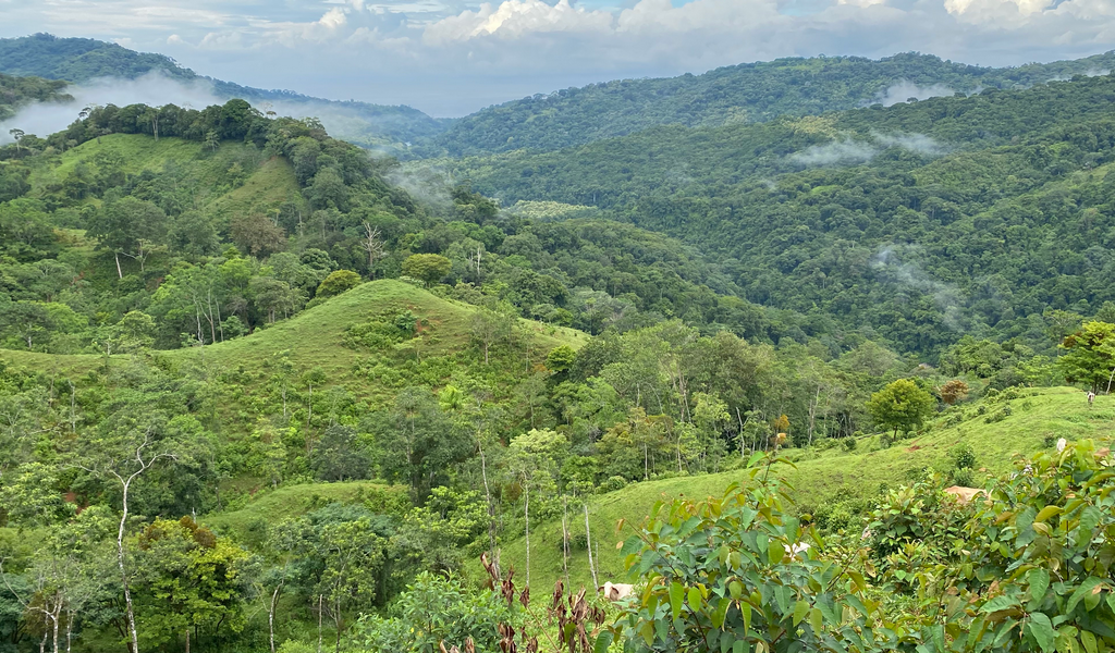 33 Acres — Cavu Costa Rica Real Estate