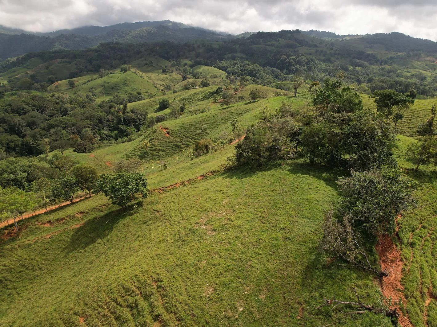finca-canas-blancans-costa-rica-13.jpg