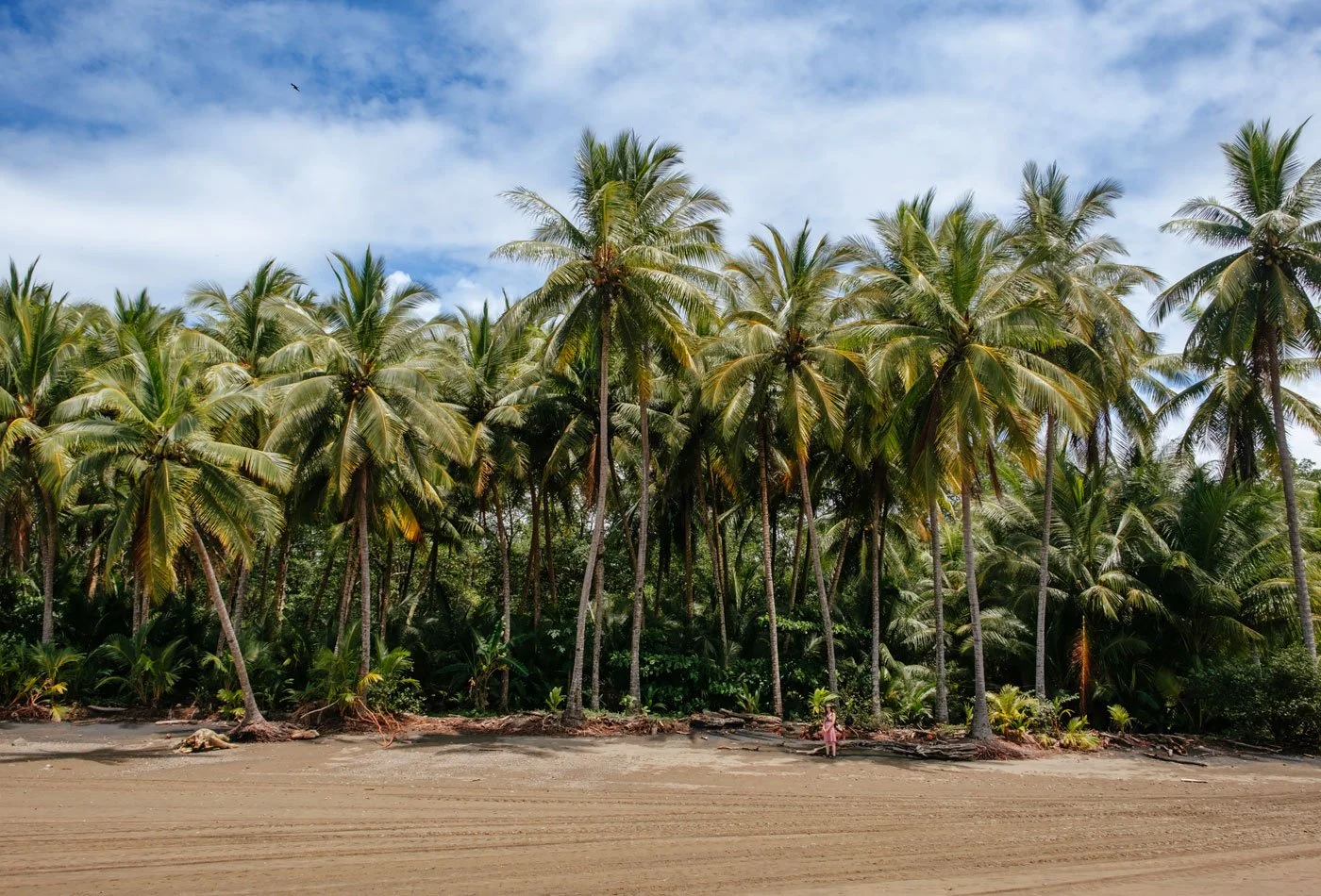 Marino Ballena National Park