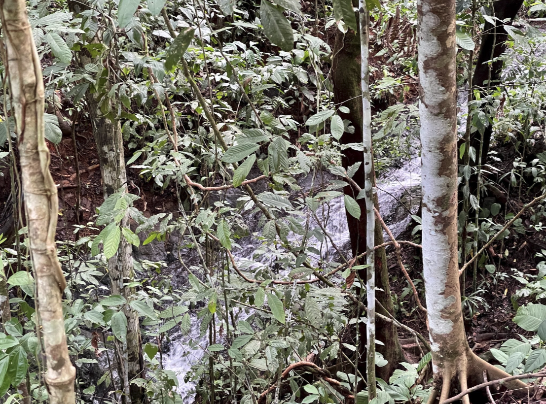 Tranquil creek running through a 2.4-acre ocean view property in a secure gated community in Costa Rica.