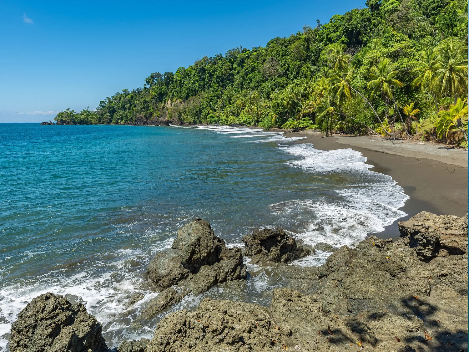 Land for Sale Osa Peninsula — Cavu Costa Rica Real Estate
