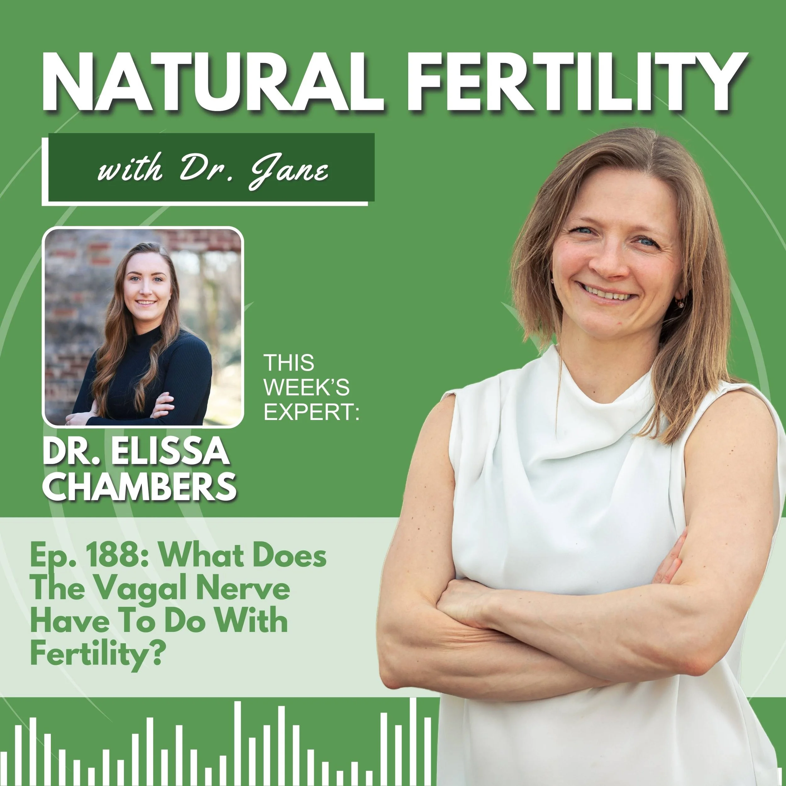 Ep. 188: The Vagus Nerve, Fertility &amp; The Fight-or-Flight Trap: Why Slowing Down Heals