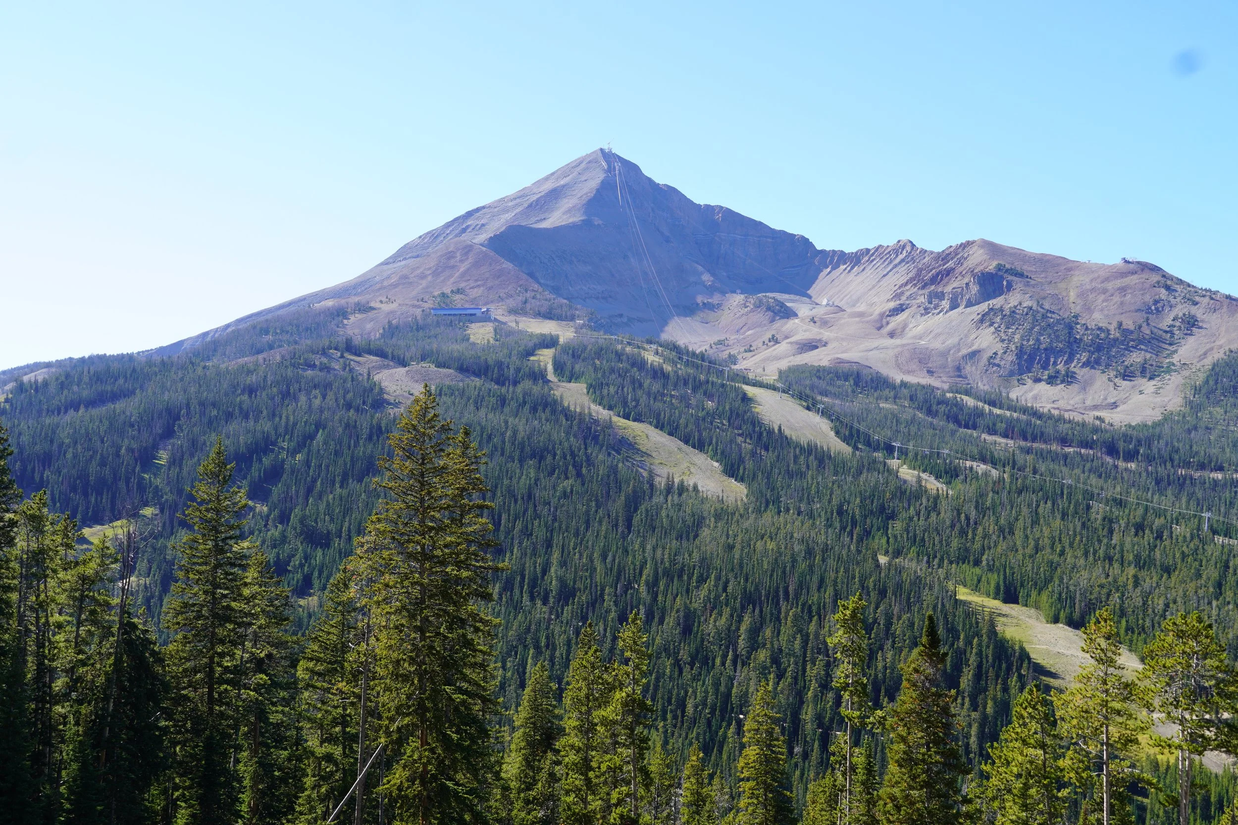 Back in the Saddle for 2024