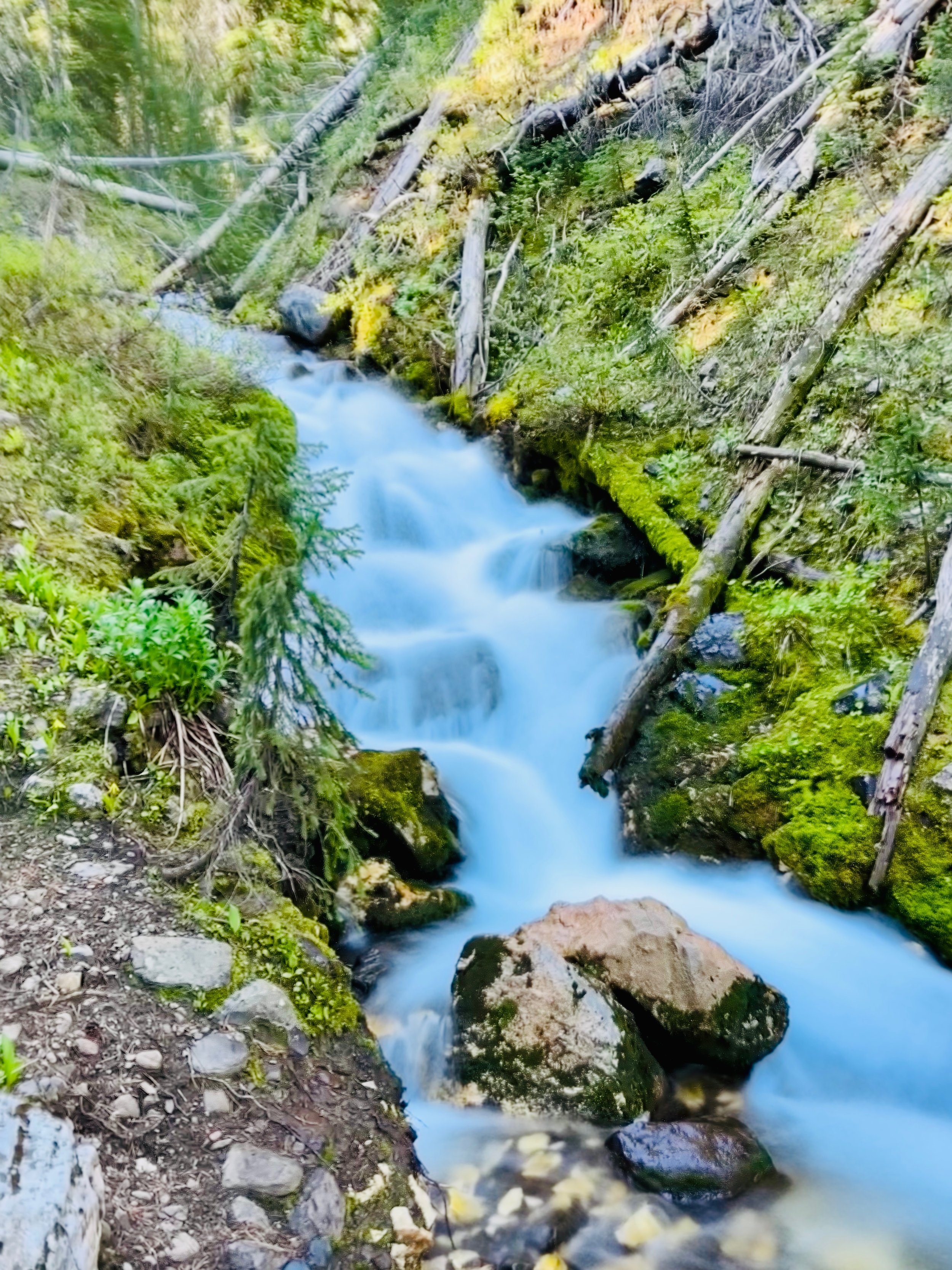 T1D & Ostomy Hike: Mistakes Were Made