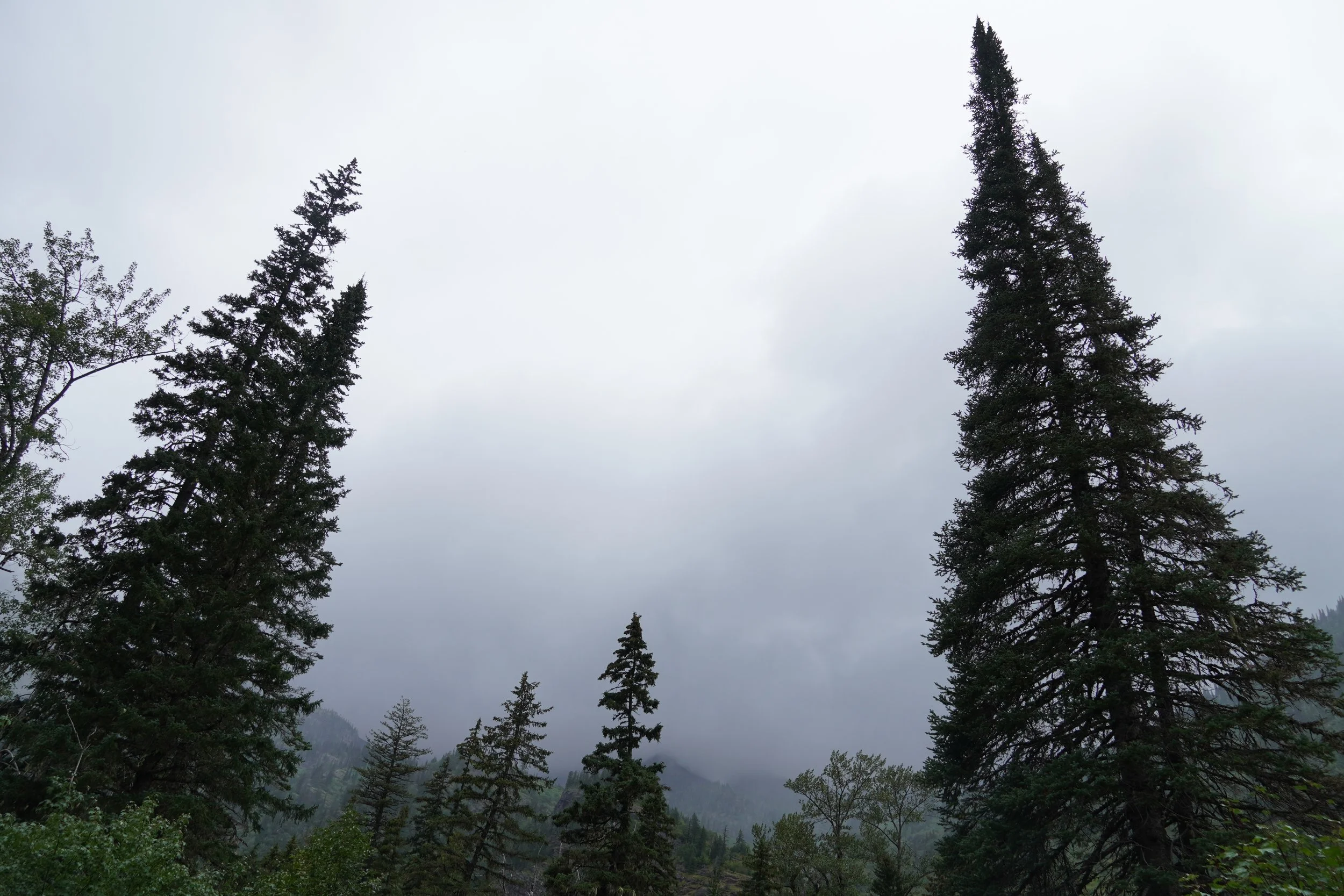 Ostomy Supply Donations 