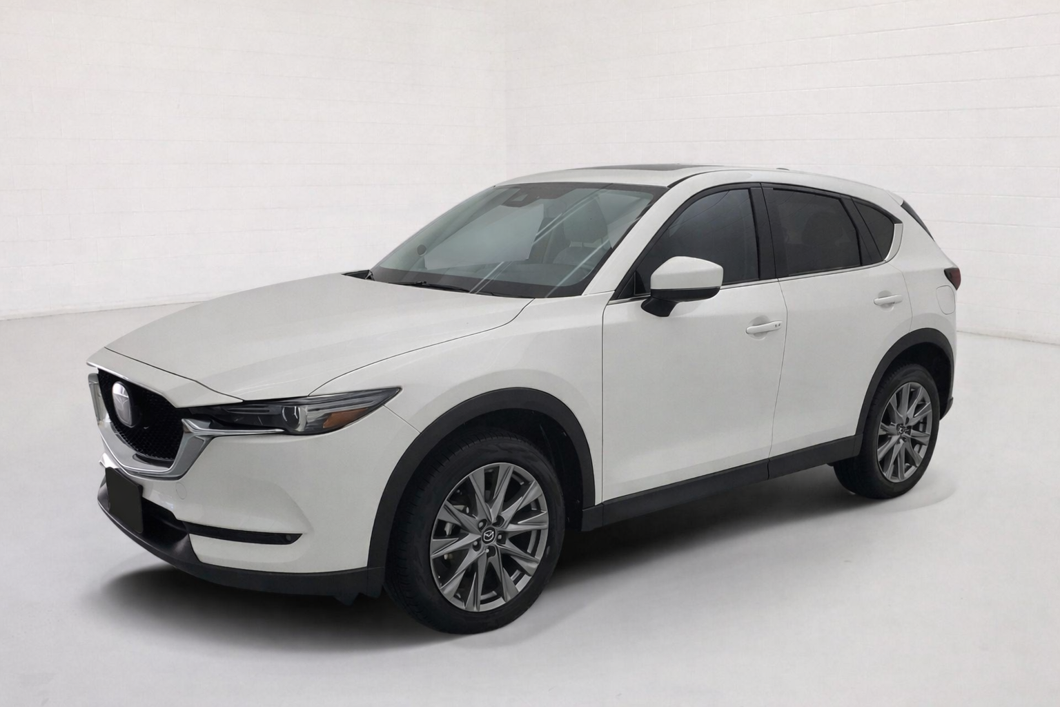 ChatGPT Image Feb 20, 2026, 07_28_07 PM.png