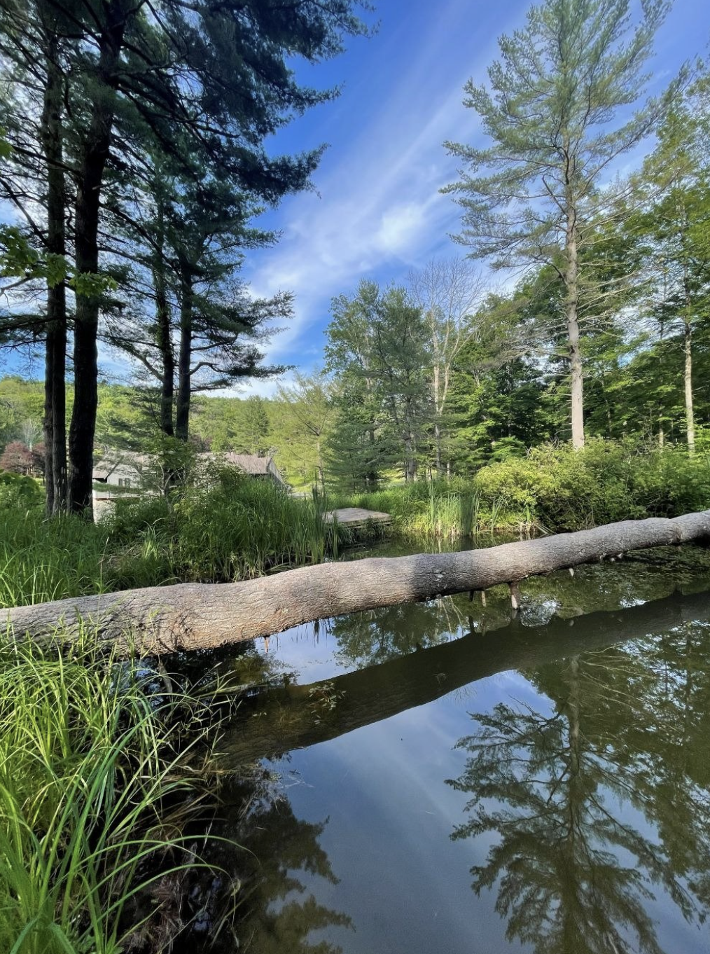 Screenshot 2026-04-10 at 1.09.46 AM.png