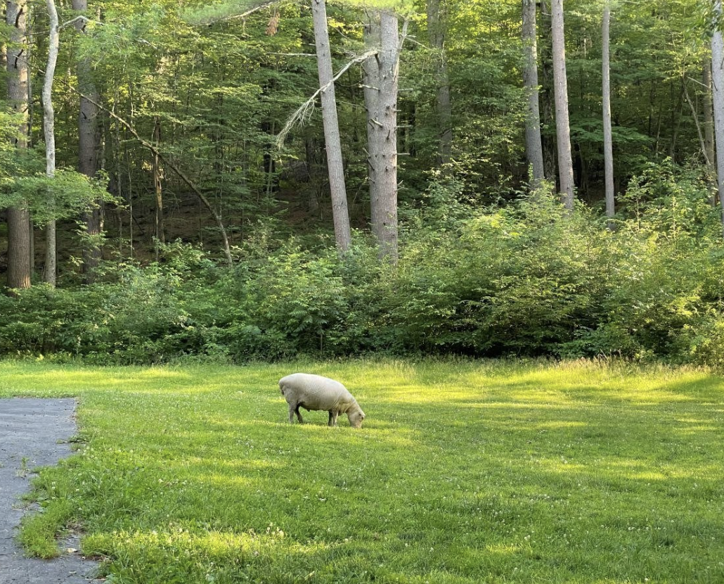 Screenshot 2026-04-10 at 1.09.51 AM.png