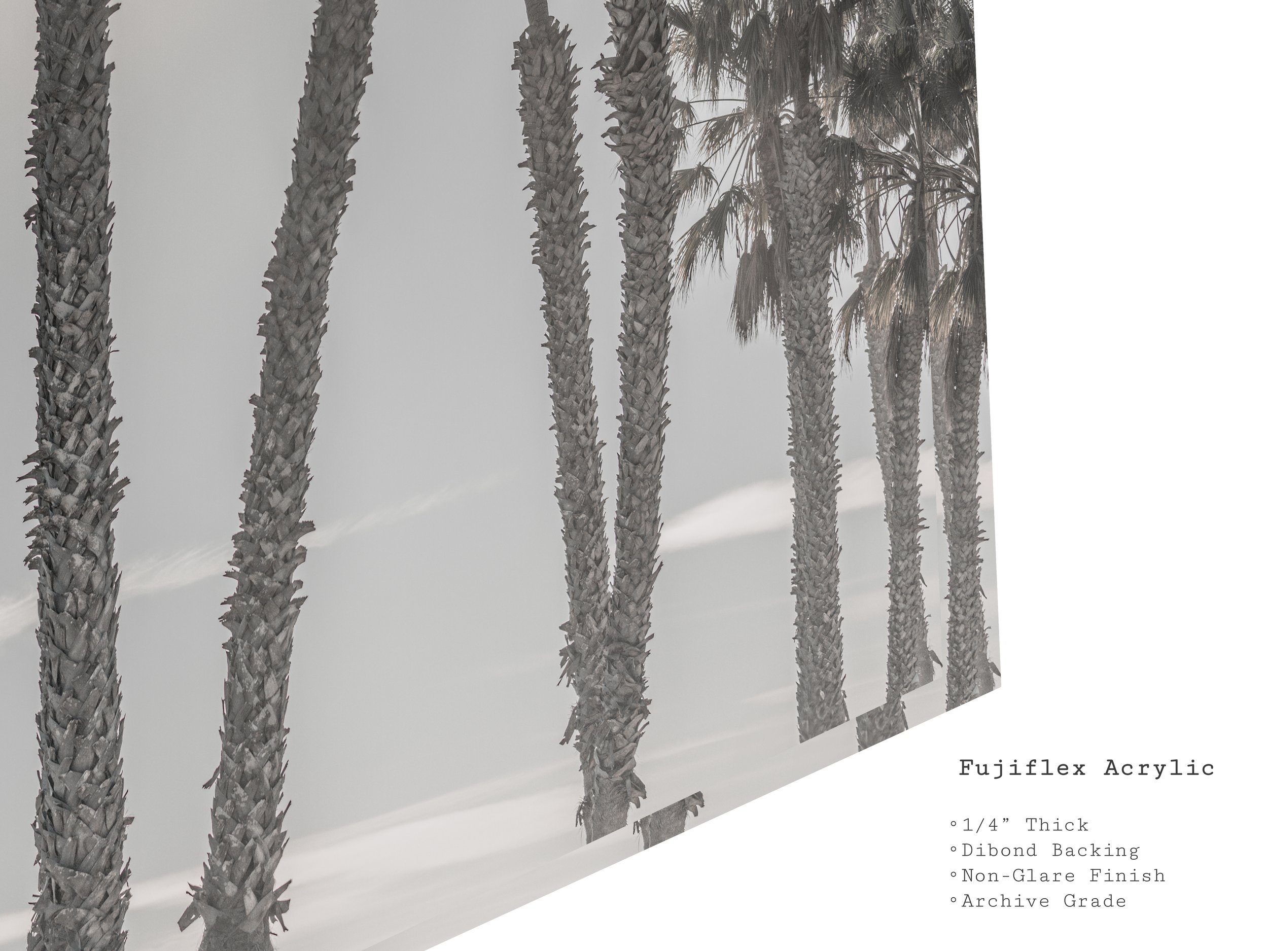 out-past-la-california-palm-tree-sunset-acrylic.jpg