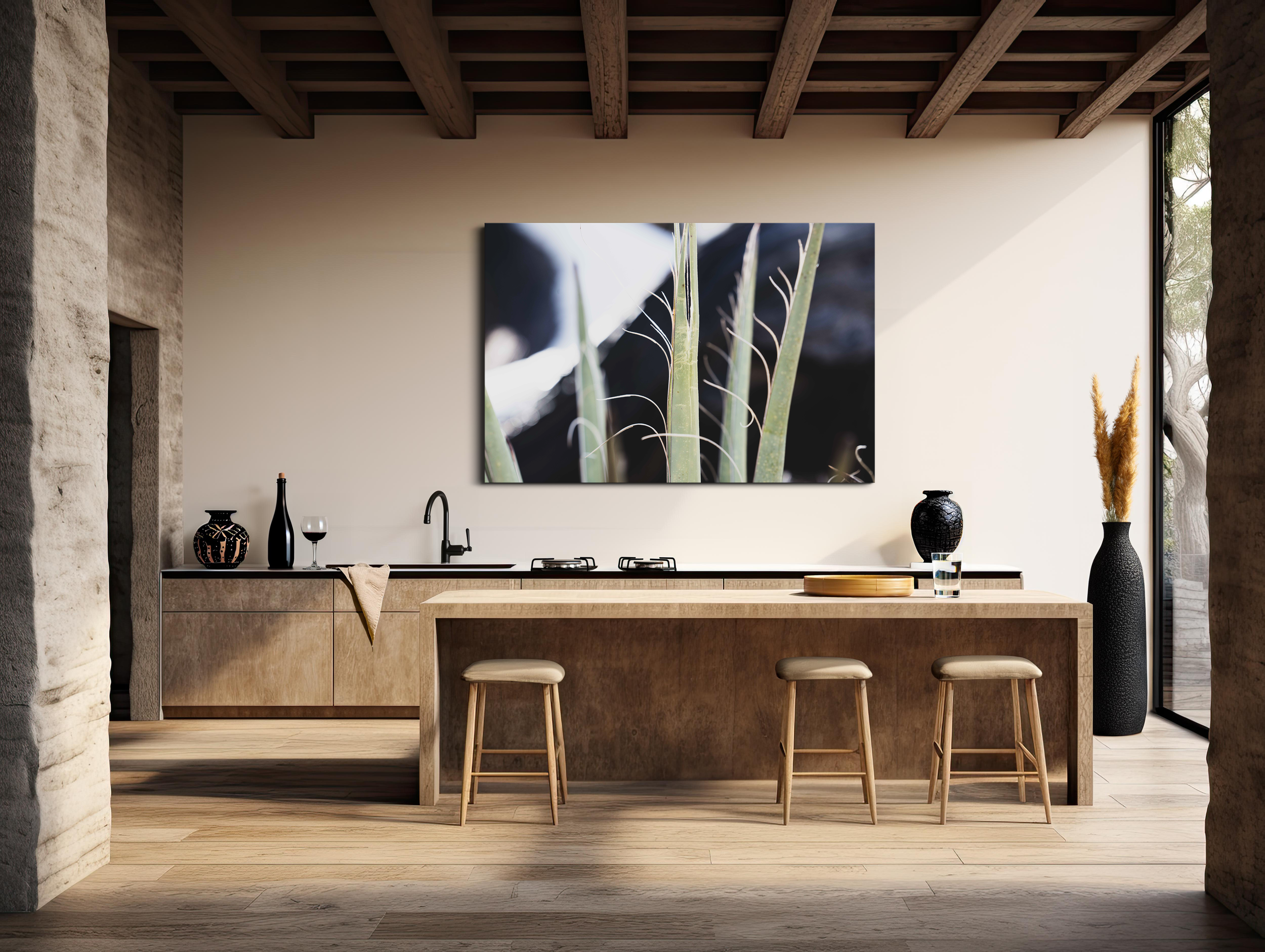 chilled-tequila-agave-close-up-fine-art-print-kitchen-decor.png