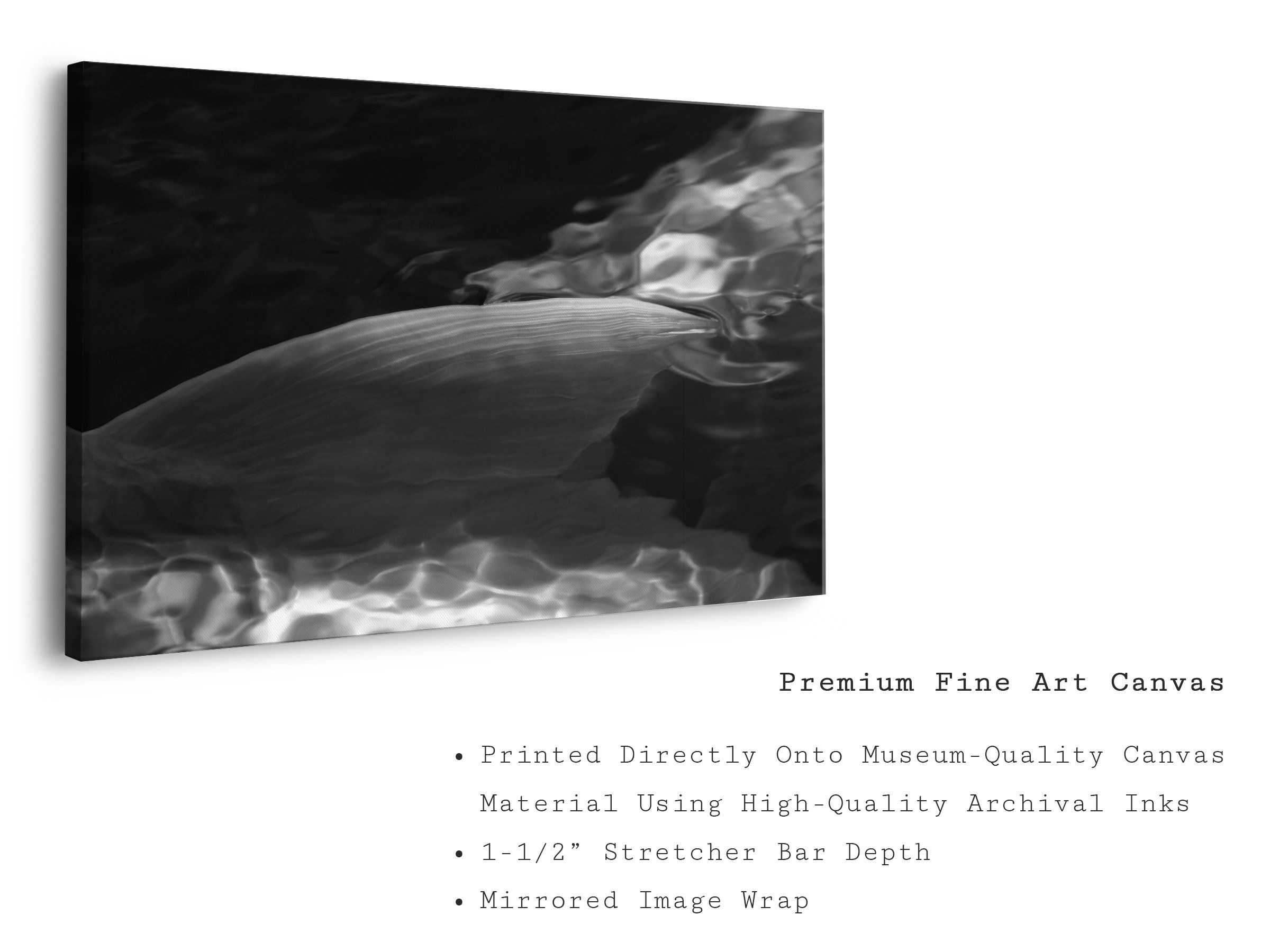 koi-black-white-minimalist-underwater-canvas-art-print.jpg