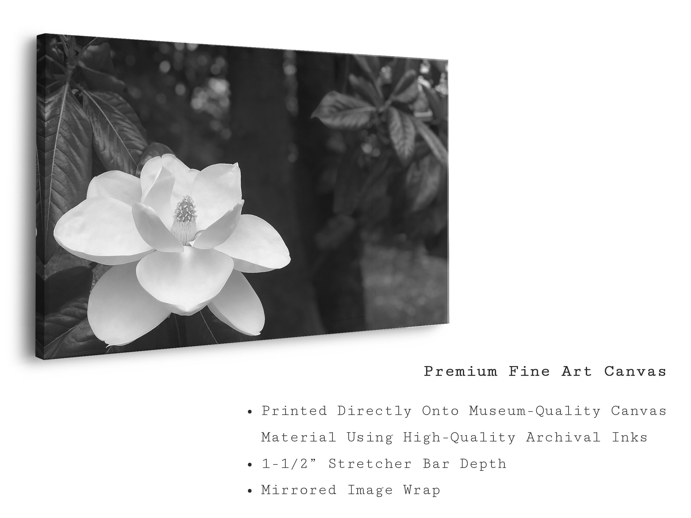 magnolia-black-white-botanical-canvas-art-print.jpg