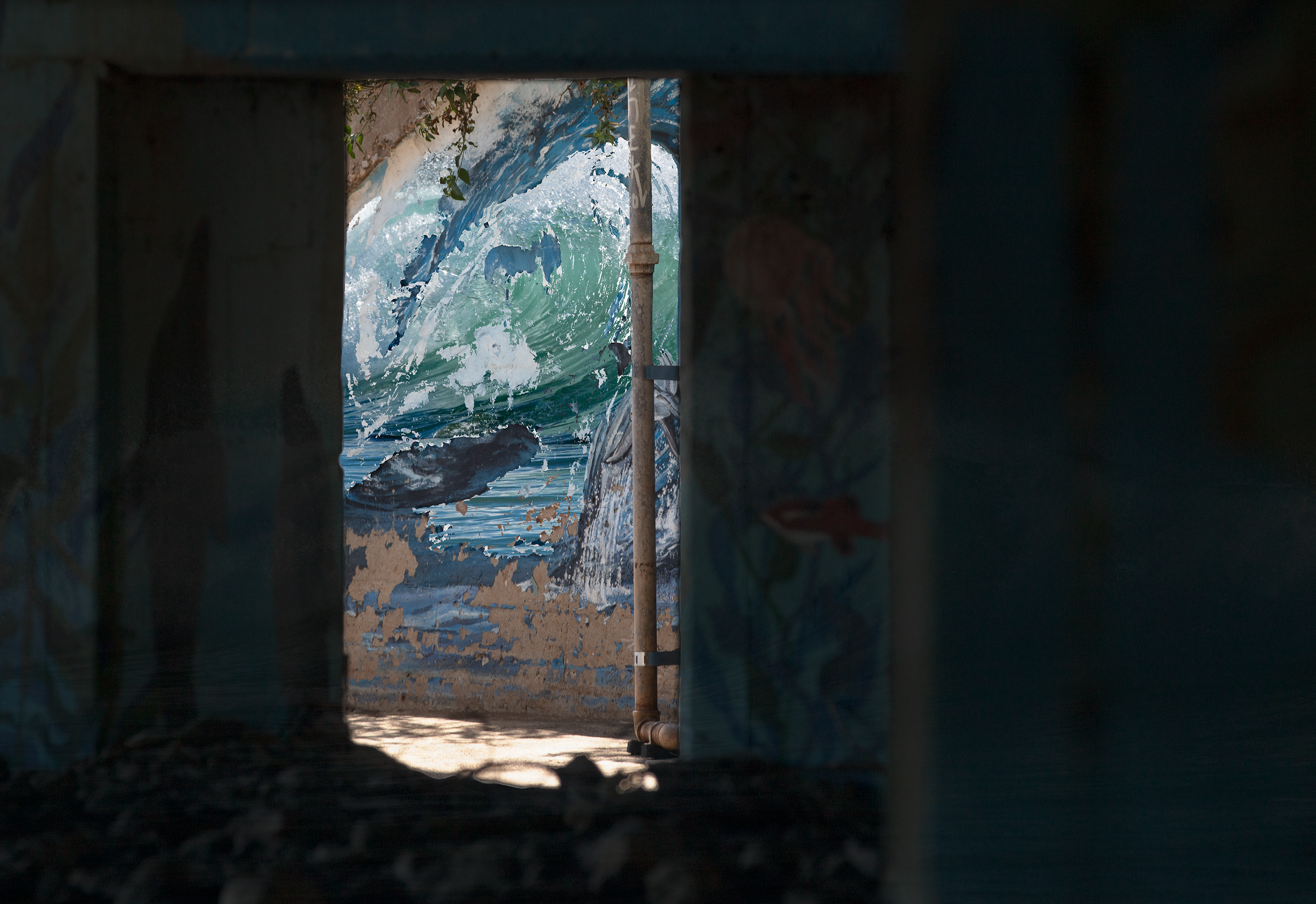 BEACH DOOR MSTR WEB.png
