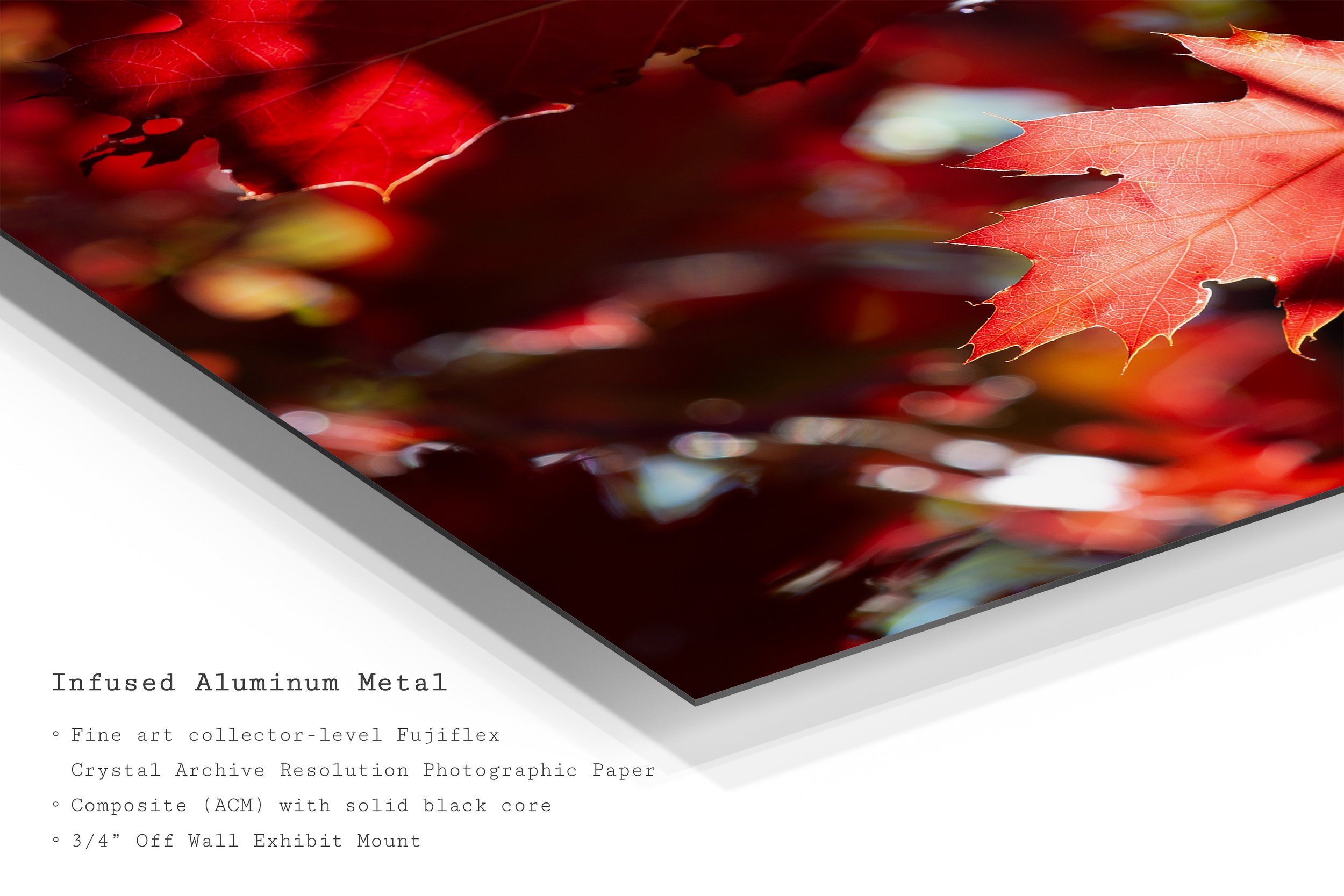 z-fall-crimson-autumn-leaves-metal-art-print.jpg