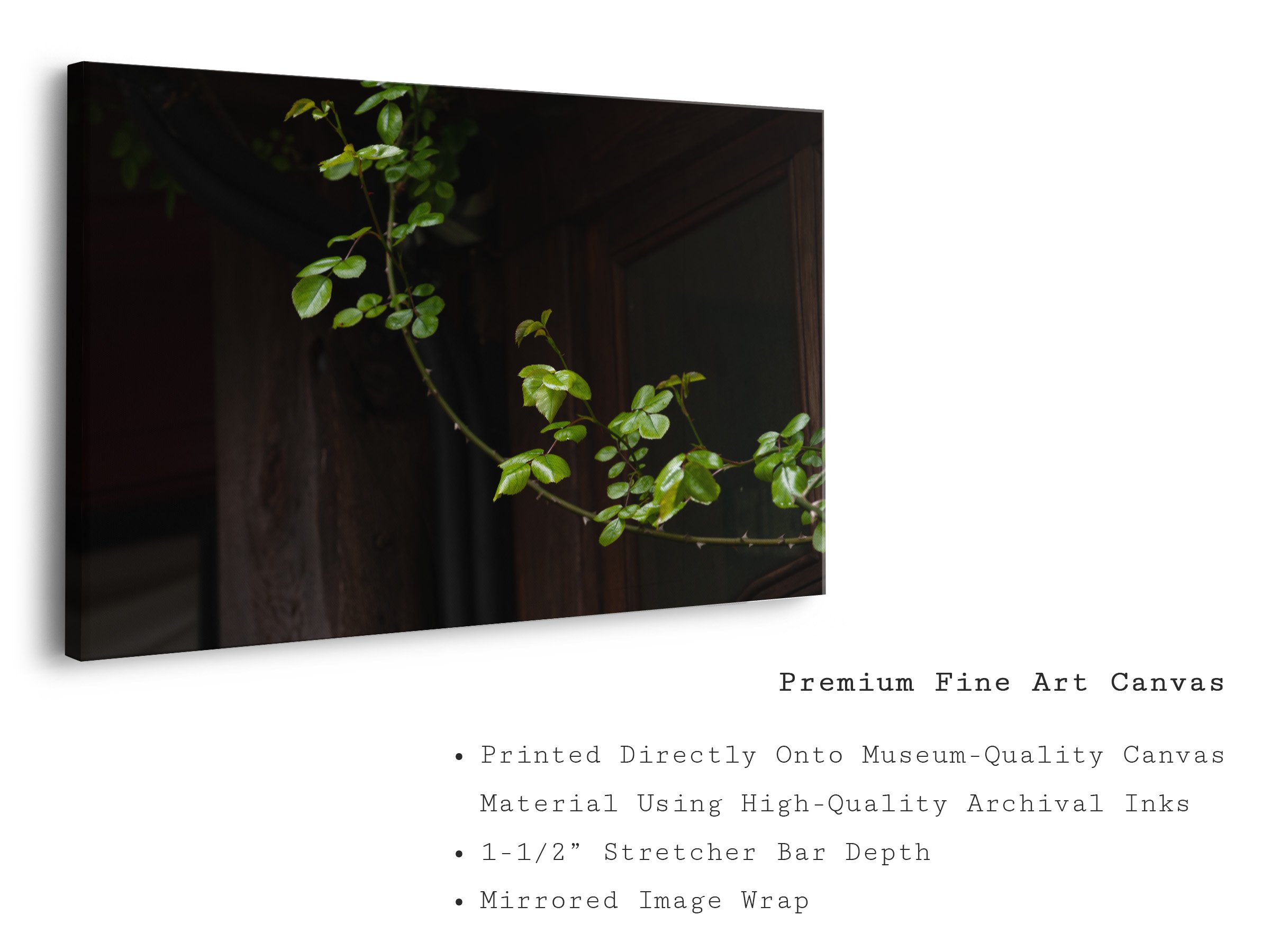 rose-vine-botanical-canvas-art-wall-print.jpg
