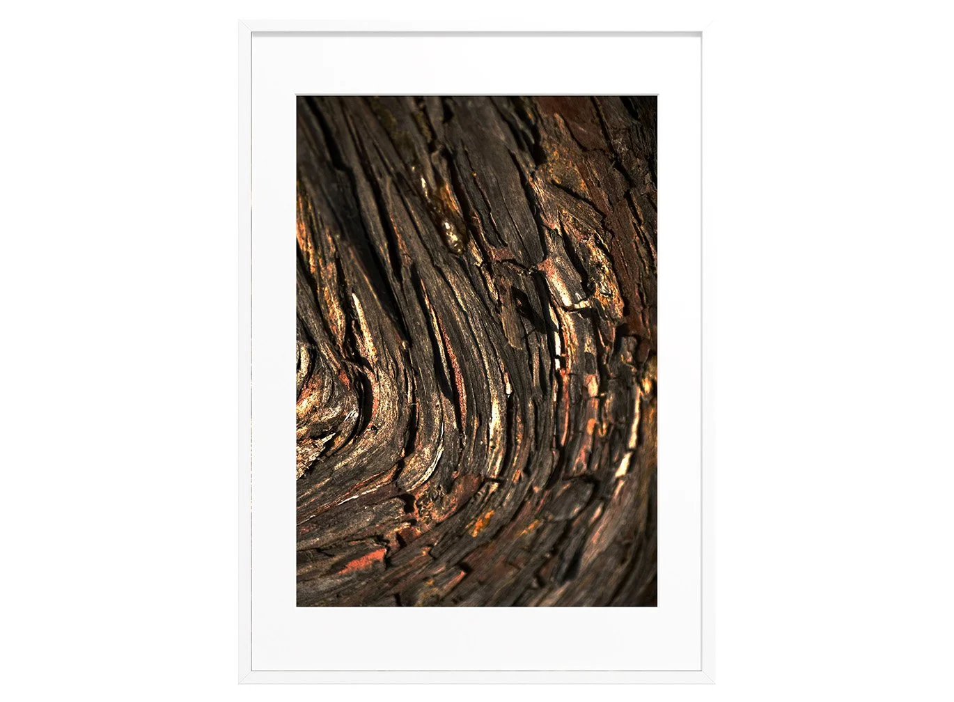 bronze-root-abstract-tree-bark-white-art-print-crop.jpg