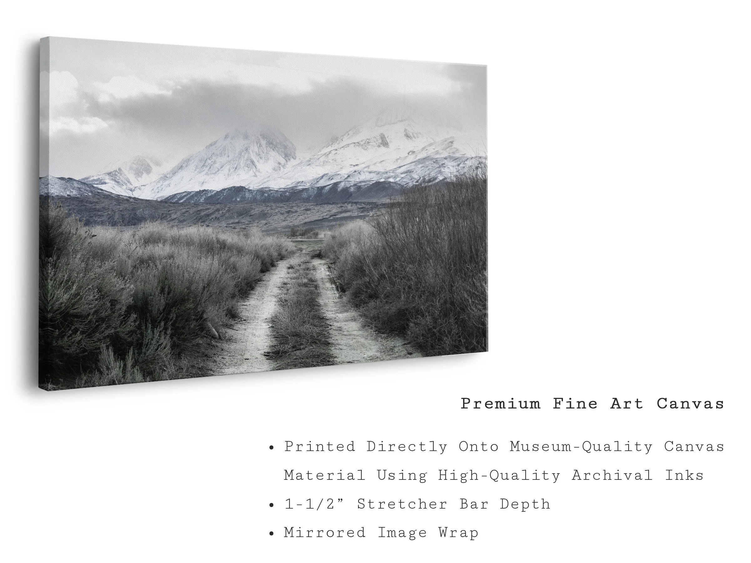 neutral-ground-limited-edition-snowy-mountain-landscape-canvas-wall-art.jpg
