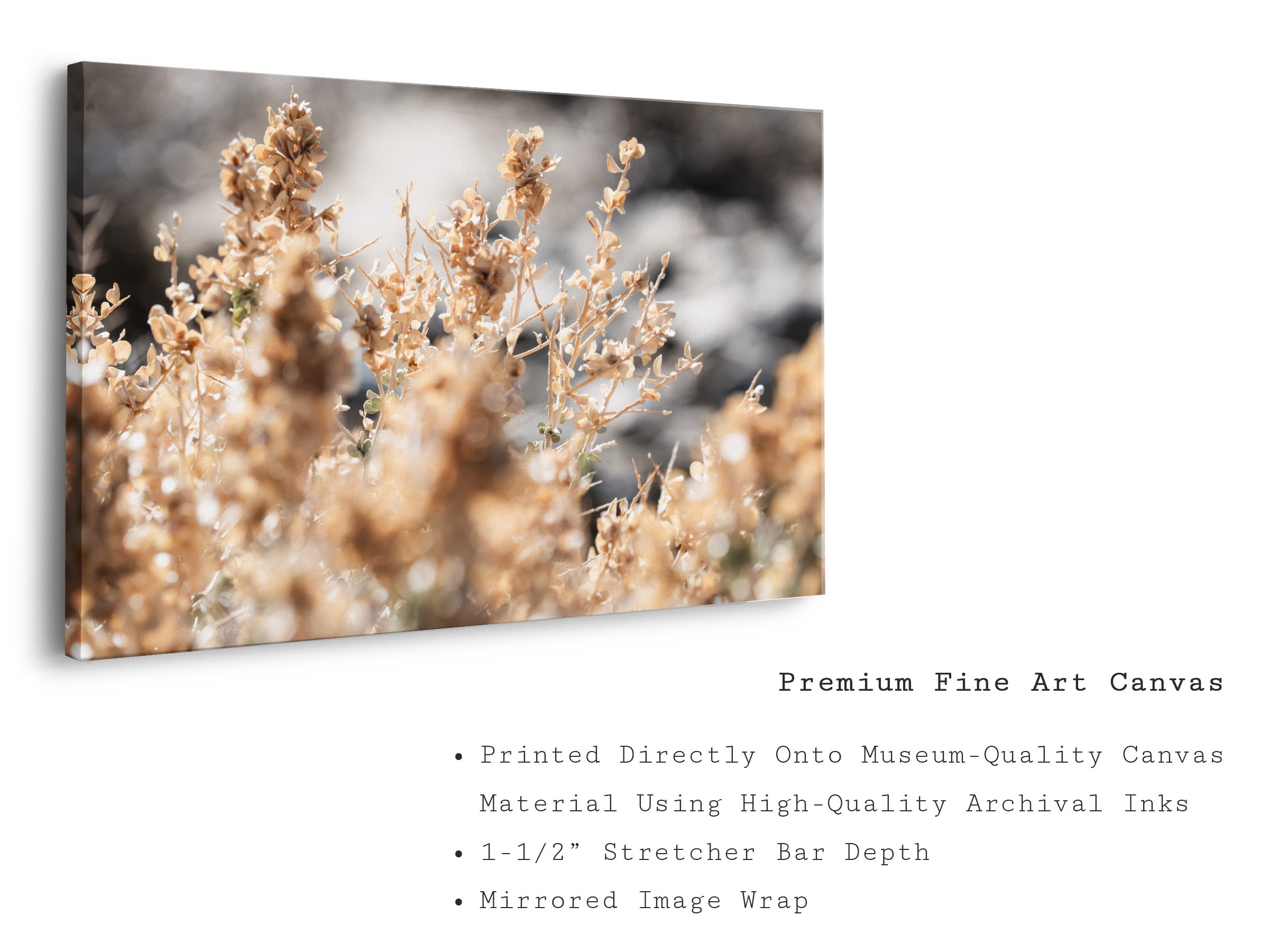 0_Landscape Canvas.jpg