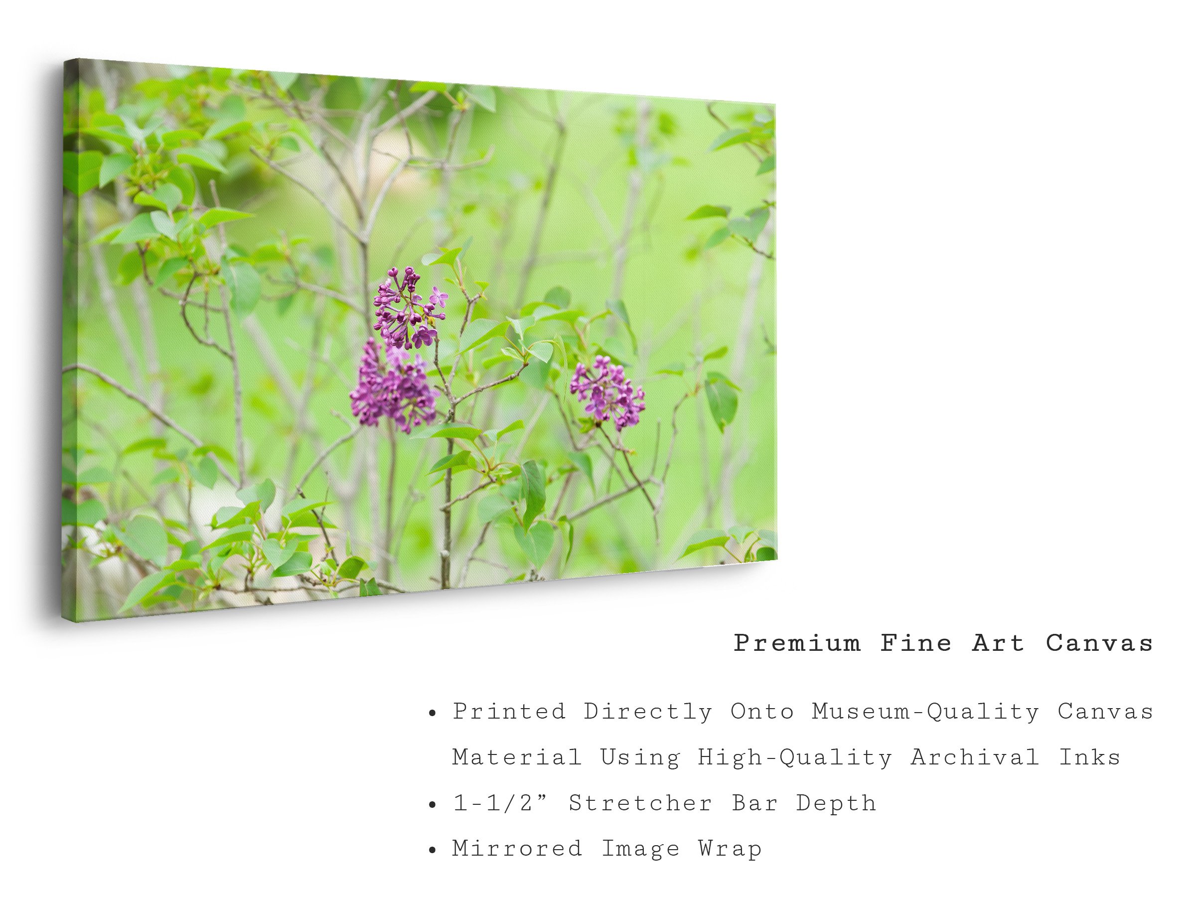 lilac-bloom-spring-photography-canvas-art-print.jpg