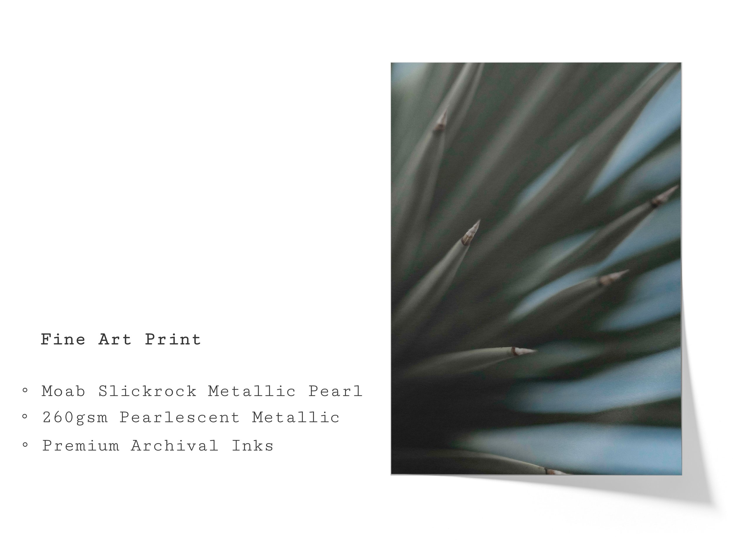 FineArtPrint-HZ.jpg