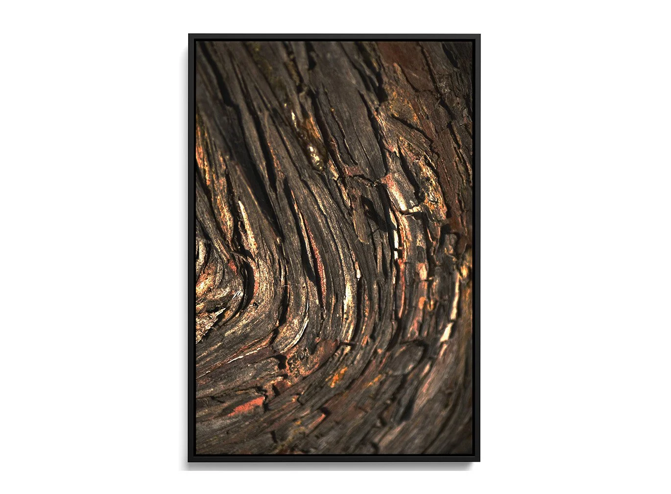 bronze-root-abstract-tree-bark-black-canvas-art-print-crop.jpg