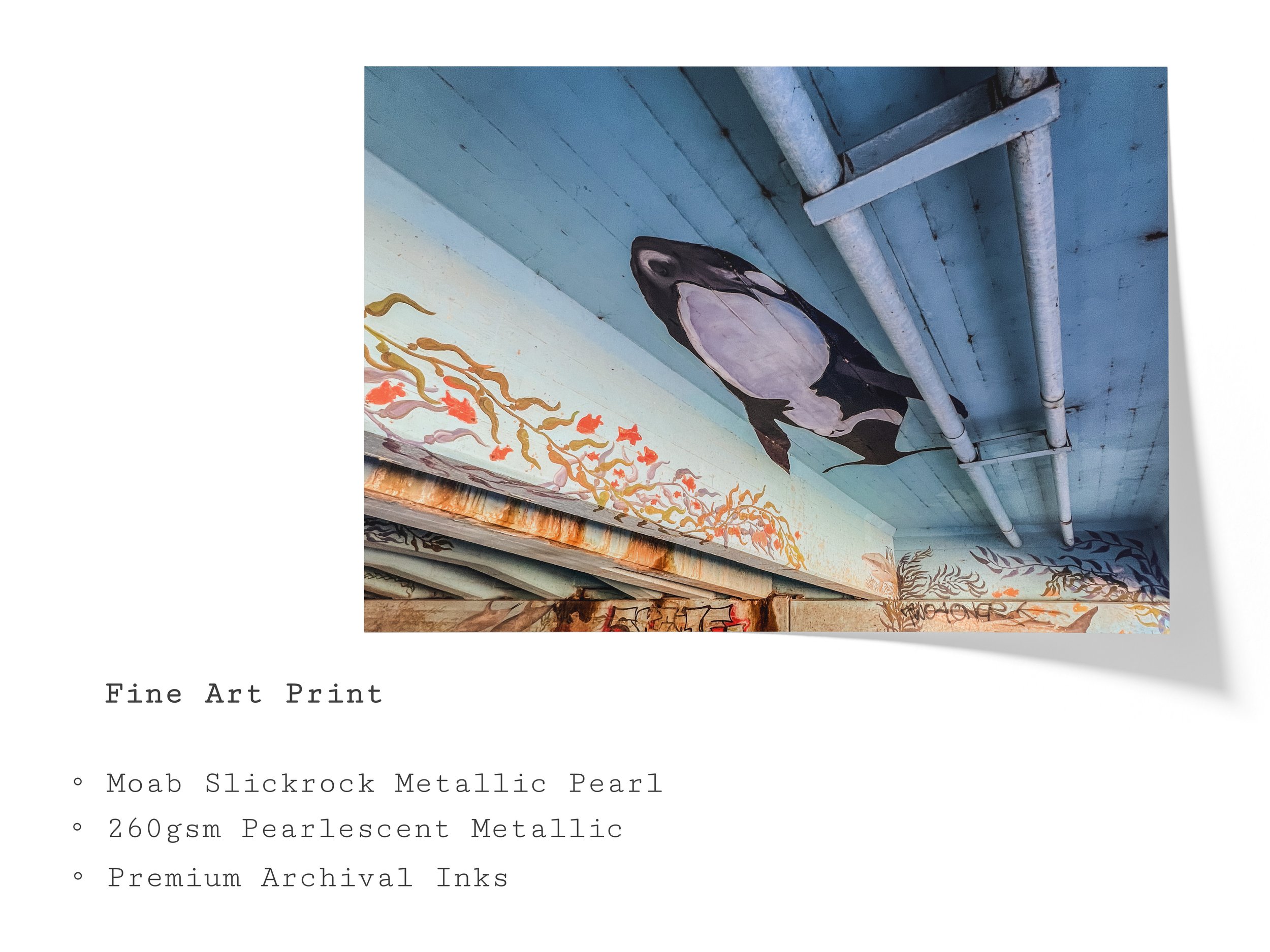 overpass-ocean-mural-graffiti-photograph-fine-art-print.jpg