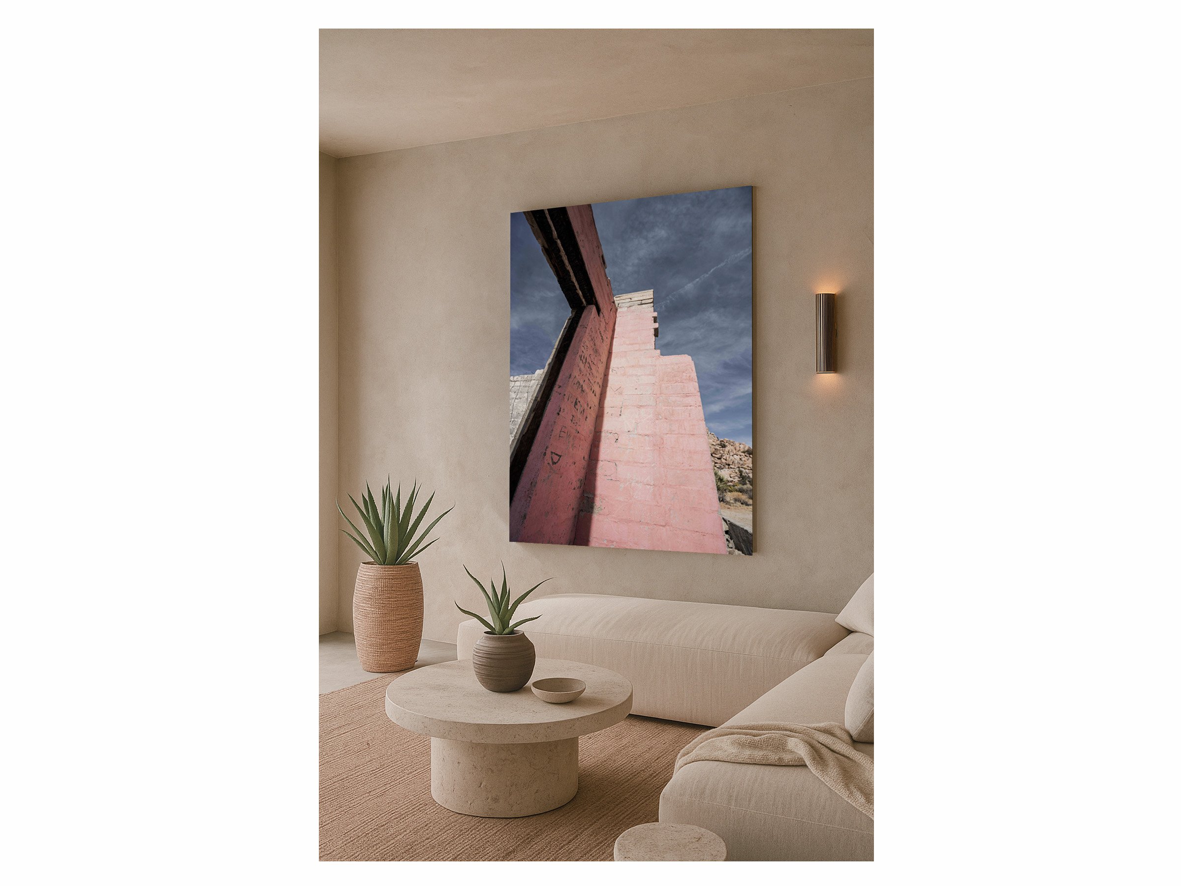 still-standing-joshua-tree-pink-wall-modern-design.jpg