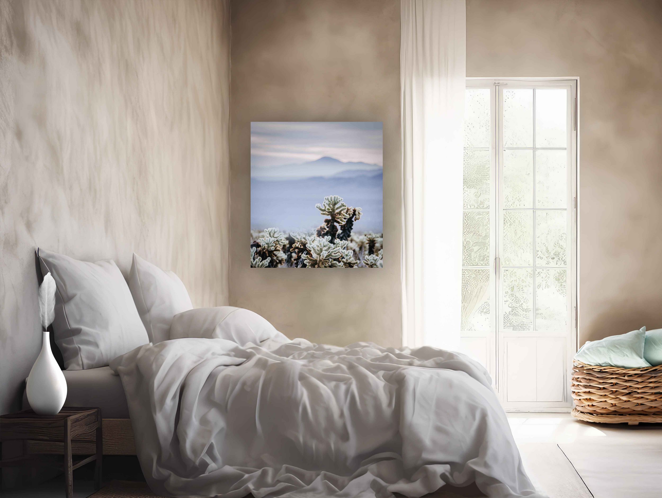 velvet-dawn-desert-cholla-cactus-fine-art-print-modern-desert-decor.jpg