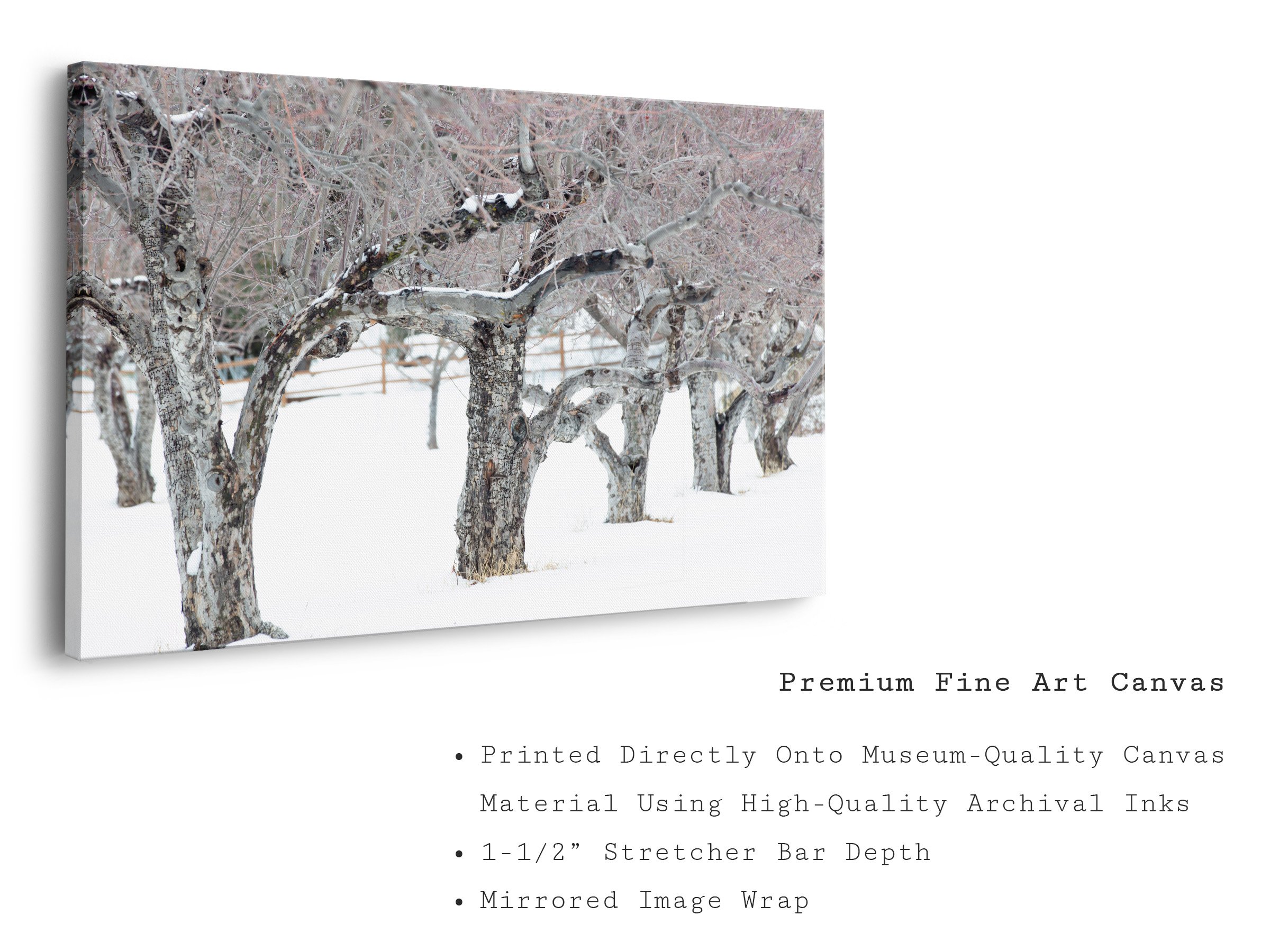 sedona-snow-orchard-winter-canvas-art-print.jpg