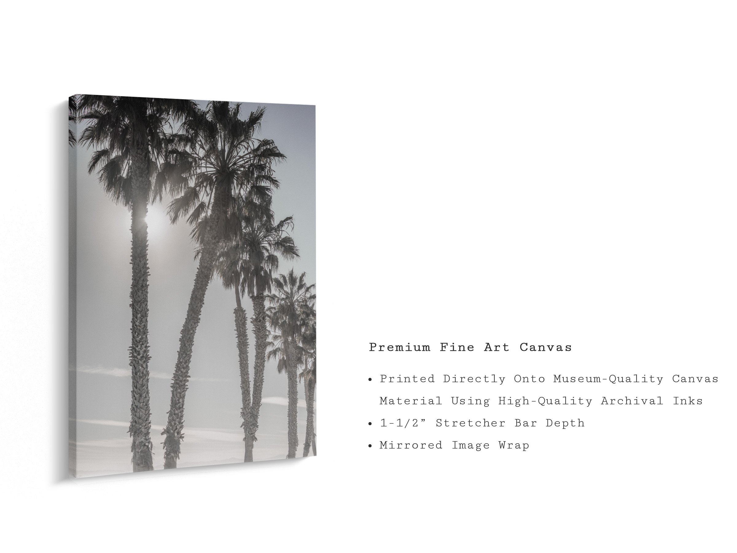 out-past-la-california-palm-tree-sunset-canvas.jpg