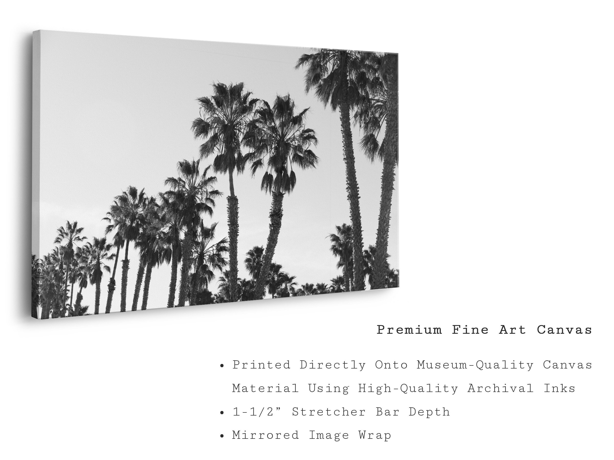 black-white-palm-tree-canvas-wall-art-print.jpg