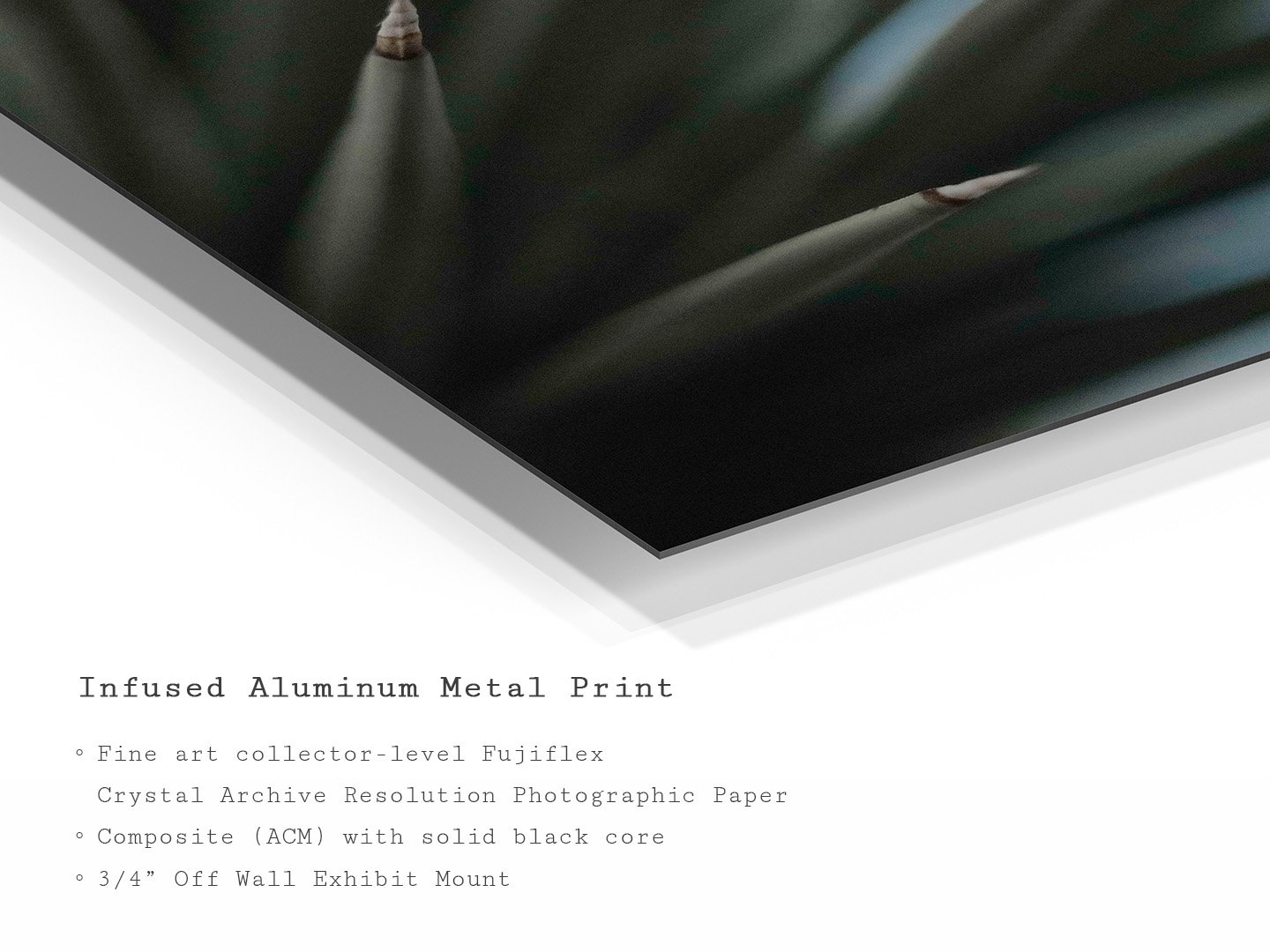 MetalPrint_Hz.jpg