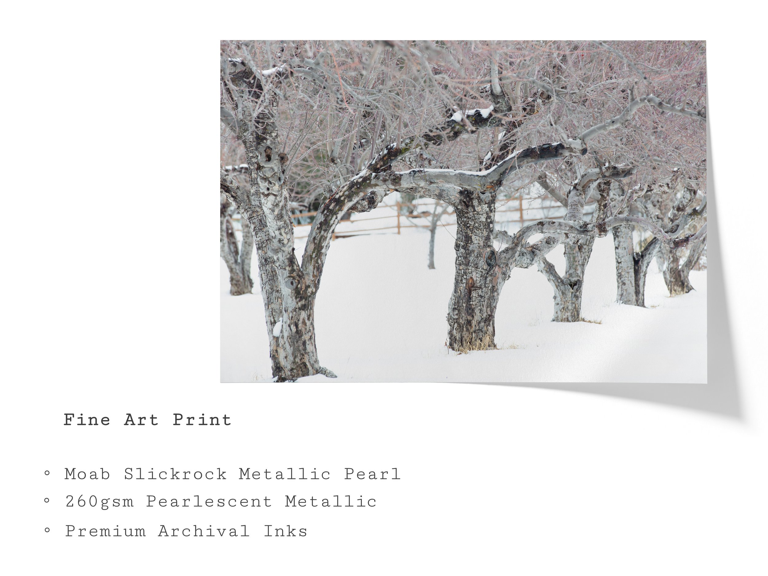 sedona-snow-orchard-winter-fine-art-print.jpg