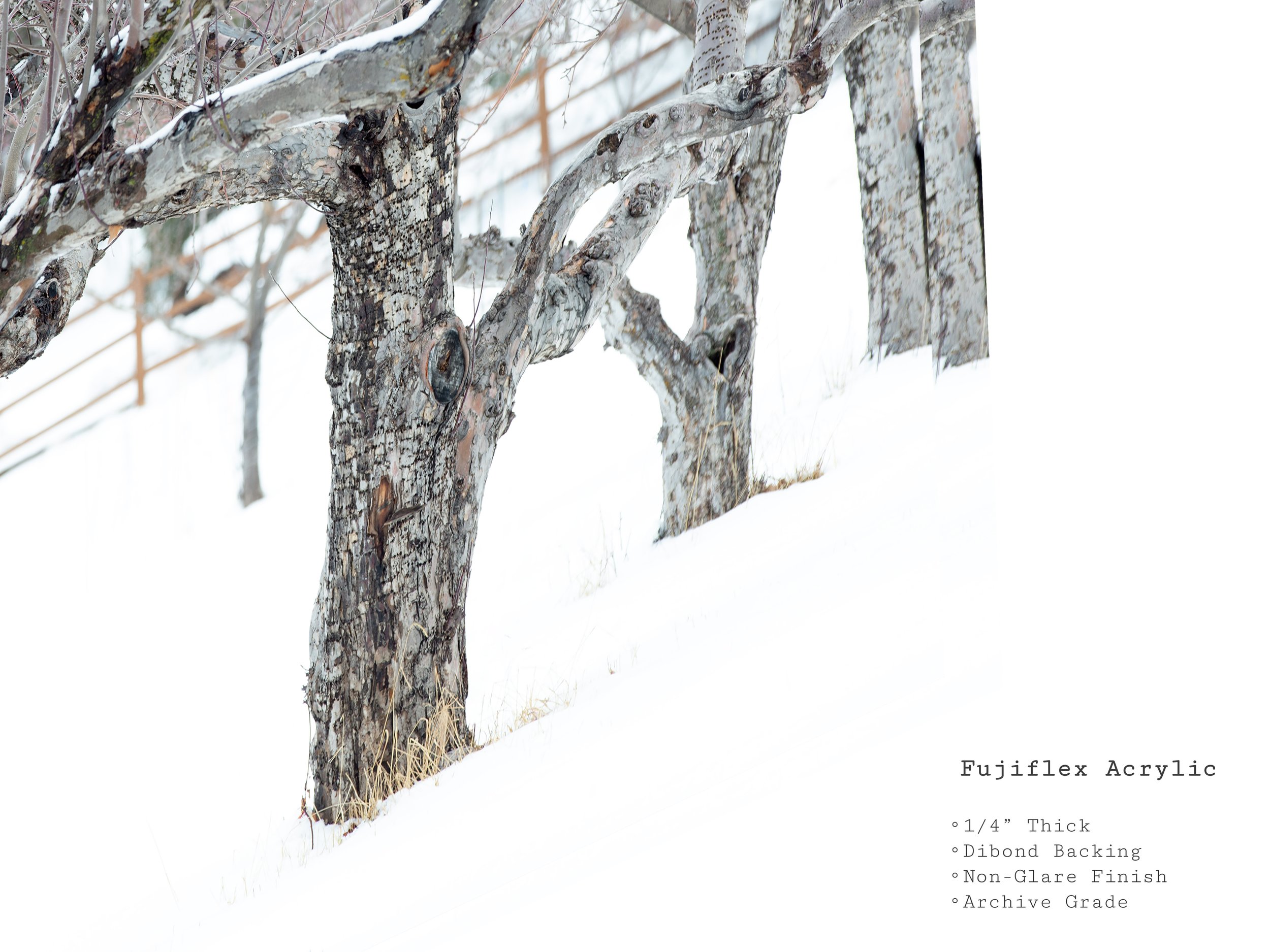 sedona-snow-orchard-winter-acrylic-art-print.jpg