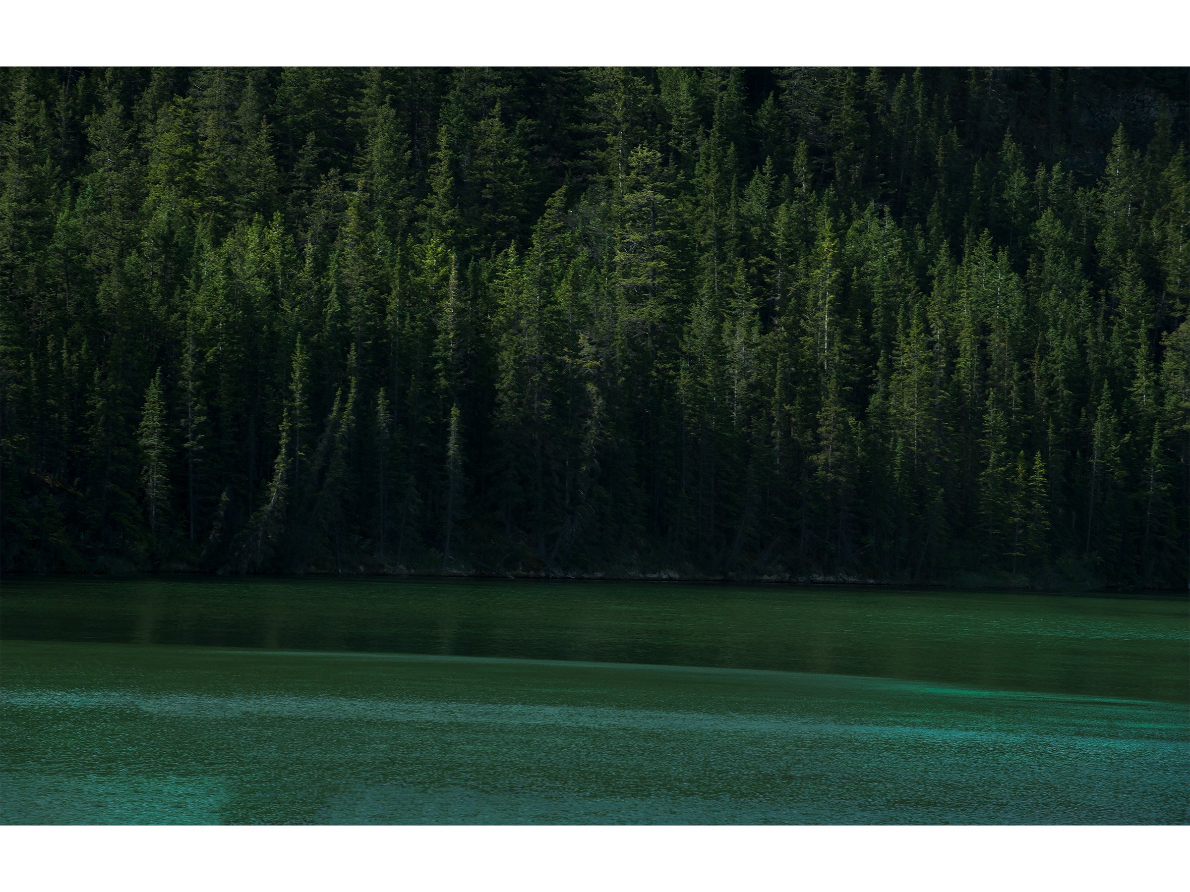 rockies-green-forest-lake-photography-print.jpg