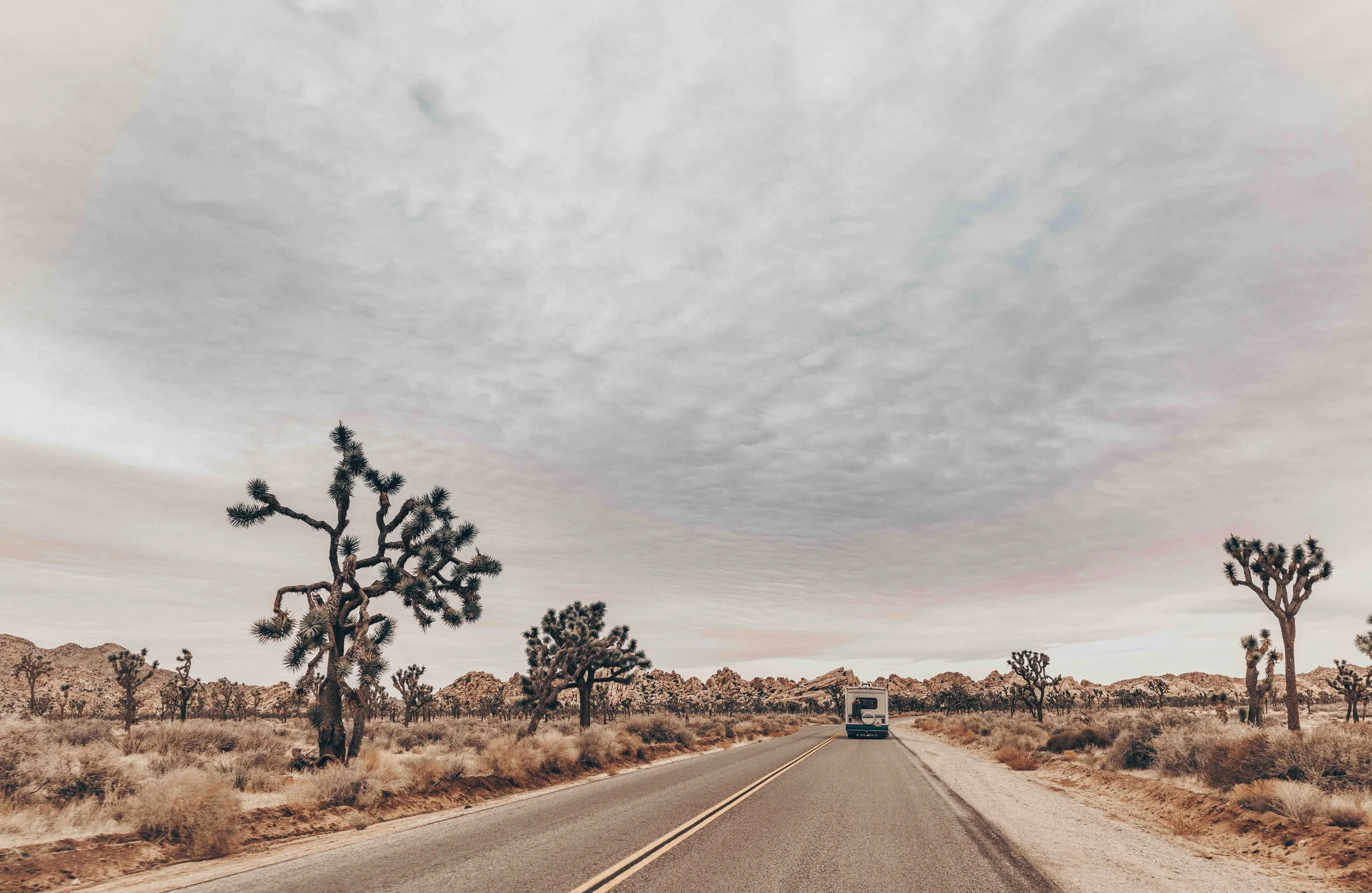 almost-famous-joshua-tree-road-trip-print.jpg