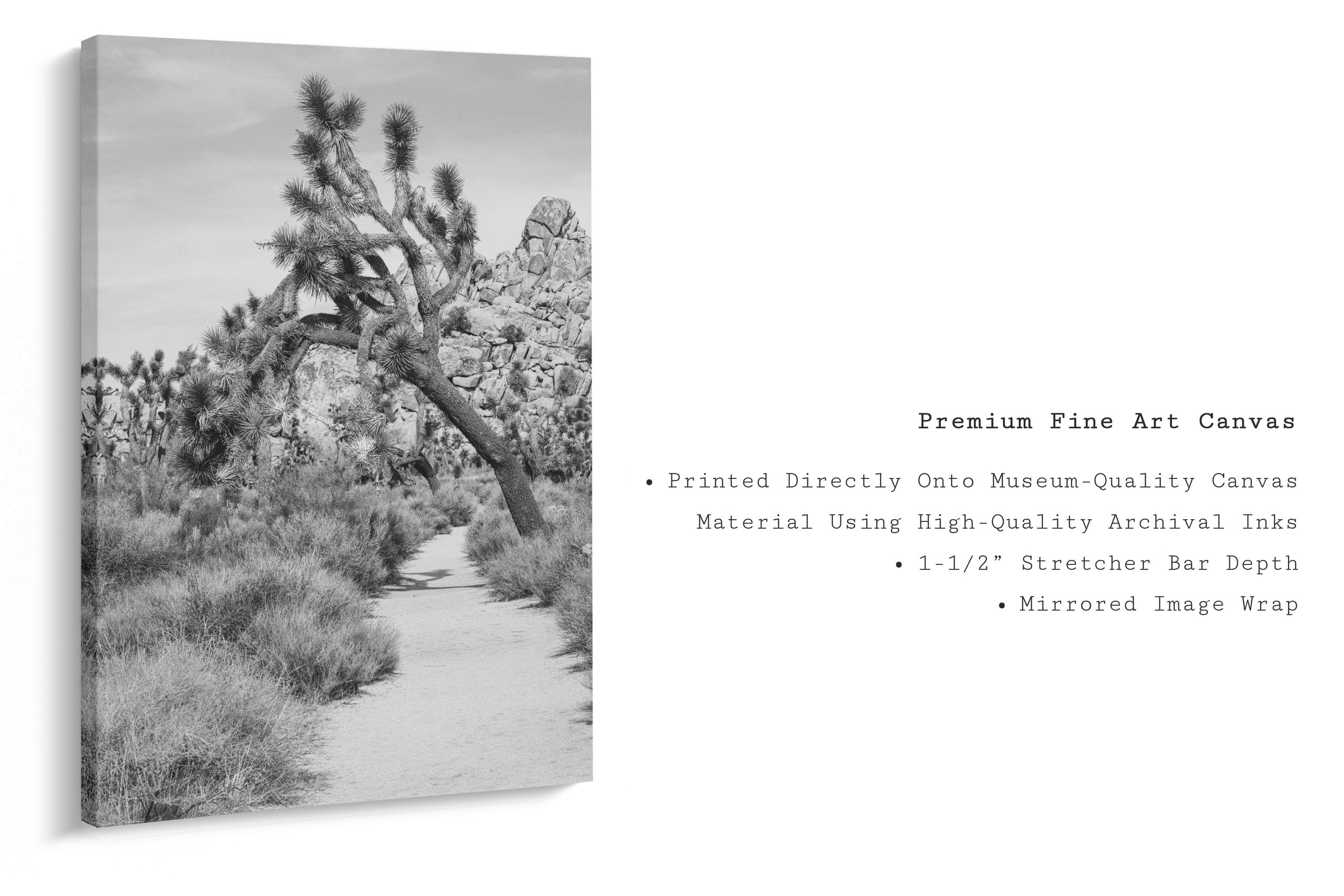 sunbaked-soul-black-white-joshua-tree-canvas-print.jpg