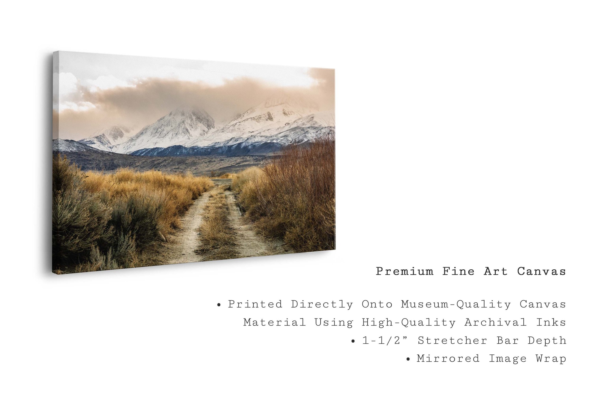 OffRoute_Canvas.jpg