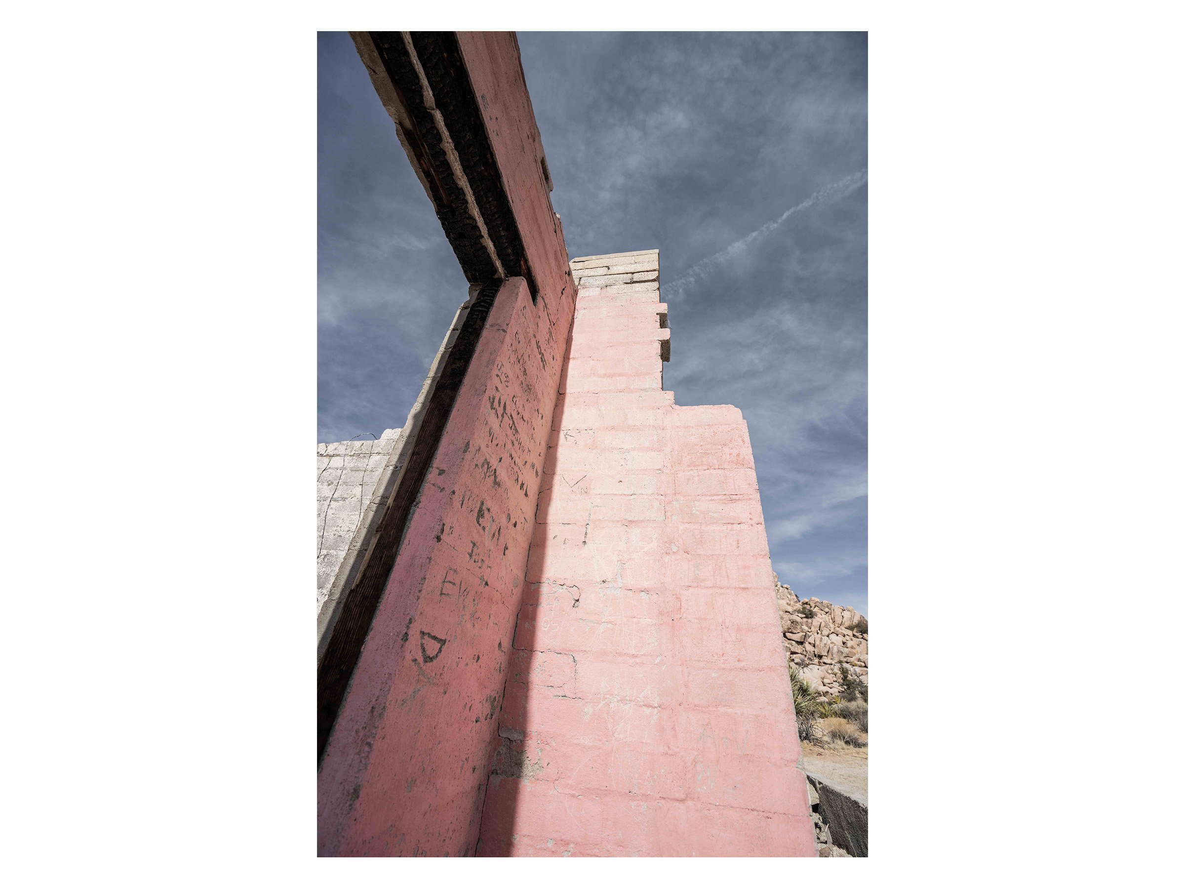 still-standing-joshua-tree-pink-wall-photo.jpg