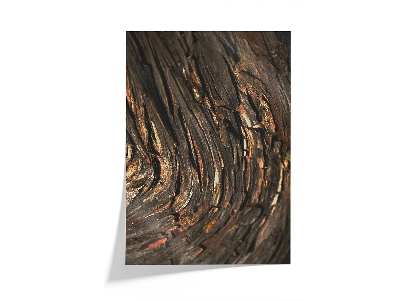 bronze-root-abstract-tree-bark-pearl-print-crop.jpg